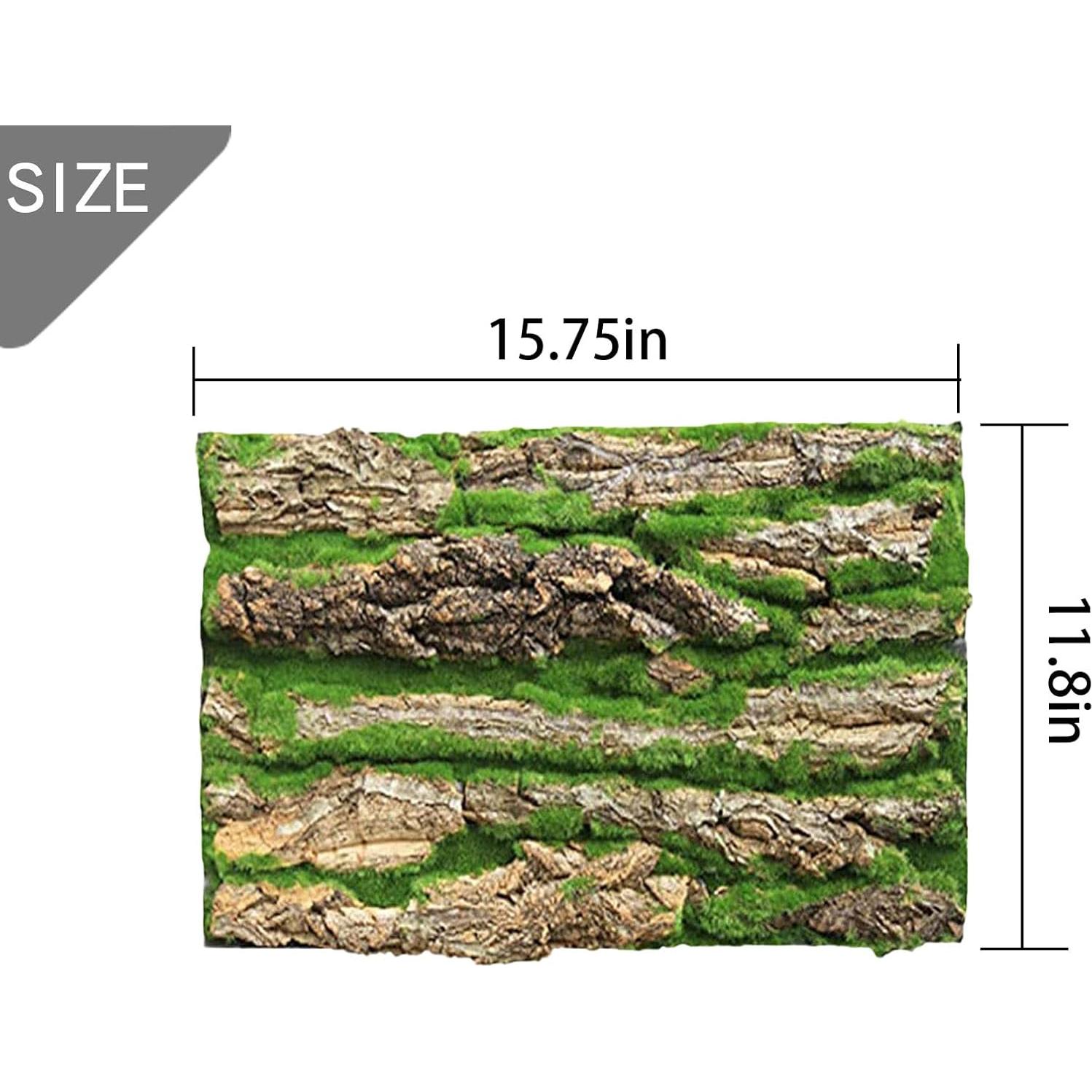 Fondo de corcho natural para terrario PINVNBY 4 piezas 40x30cm