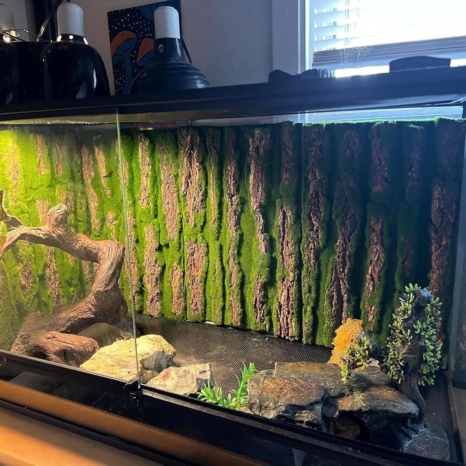 Fondo de corcho natural para terrario PINVNBY 4 piezas 40x30cm