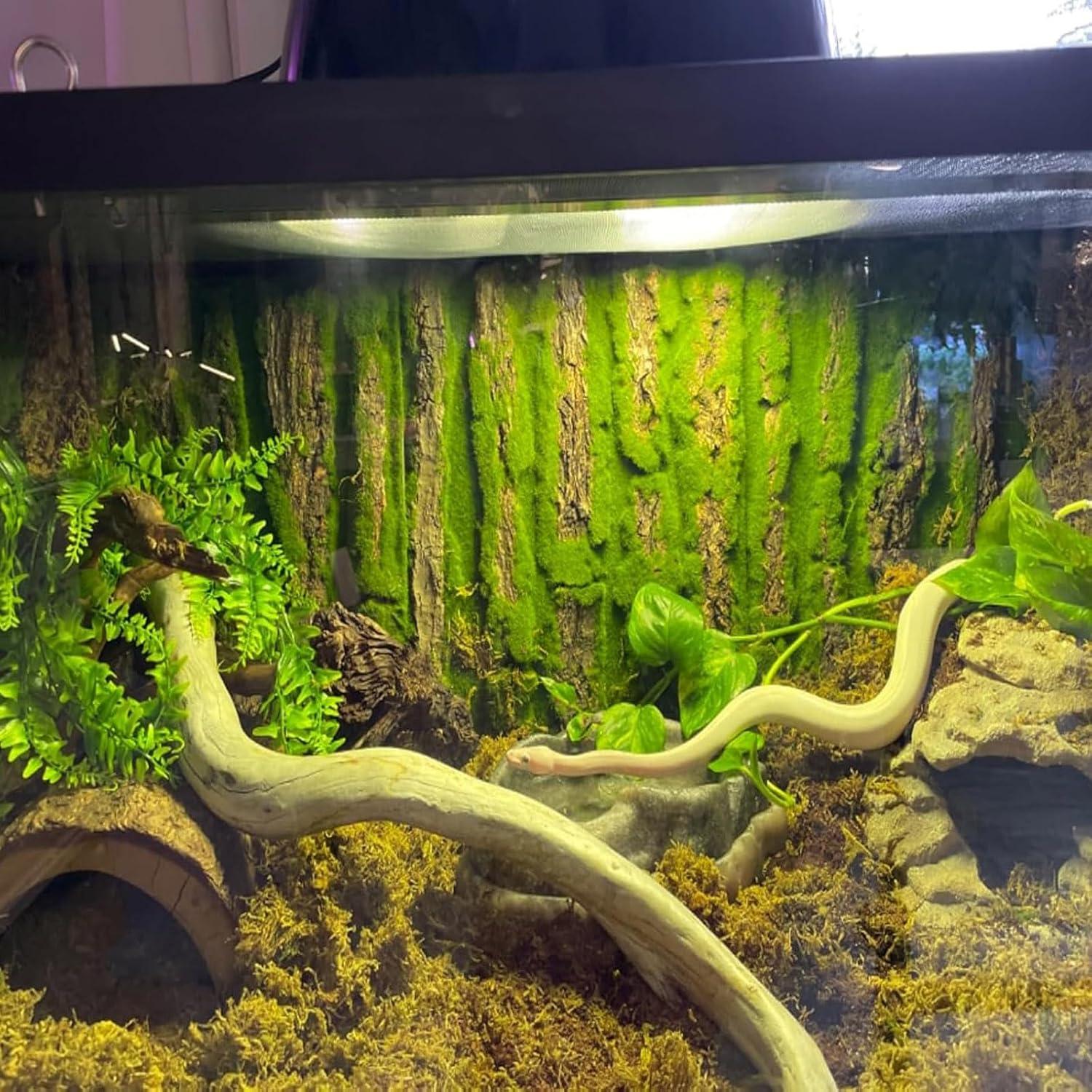 Fondo de corcho natural para terrario PINVNBY 4 piezas 40x30cm