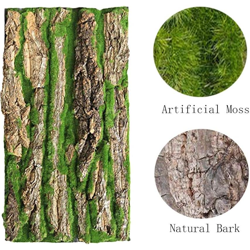 Fondo de corcho natural para terrario PINVNBY 4 piezas 40x30cm