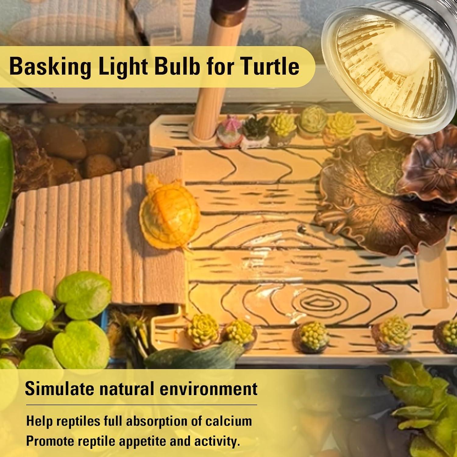 Paquete de 4 bombillas de calor UVA 25W Abustle Pig para reptiles