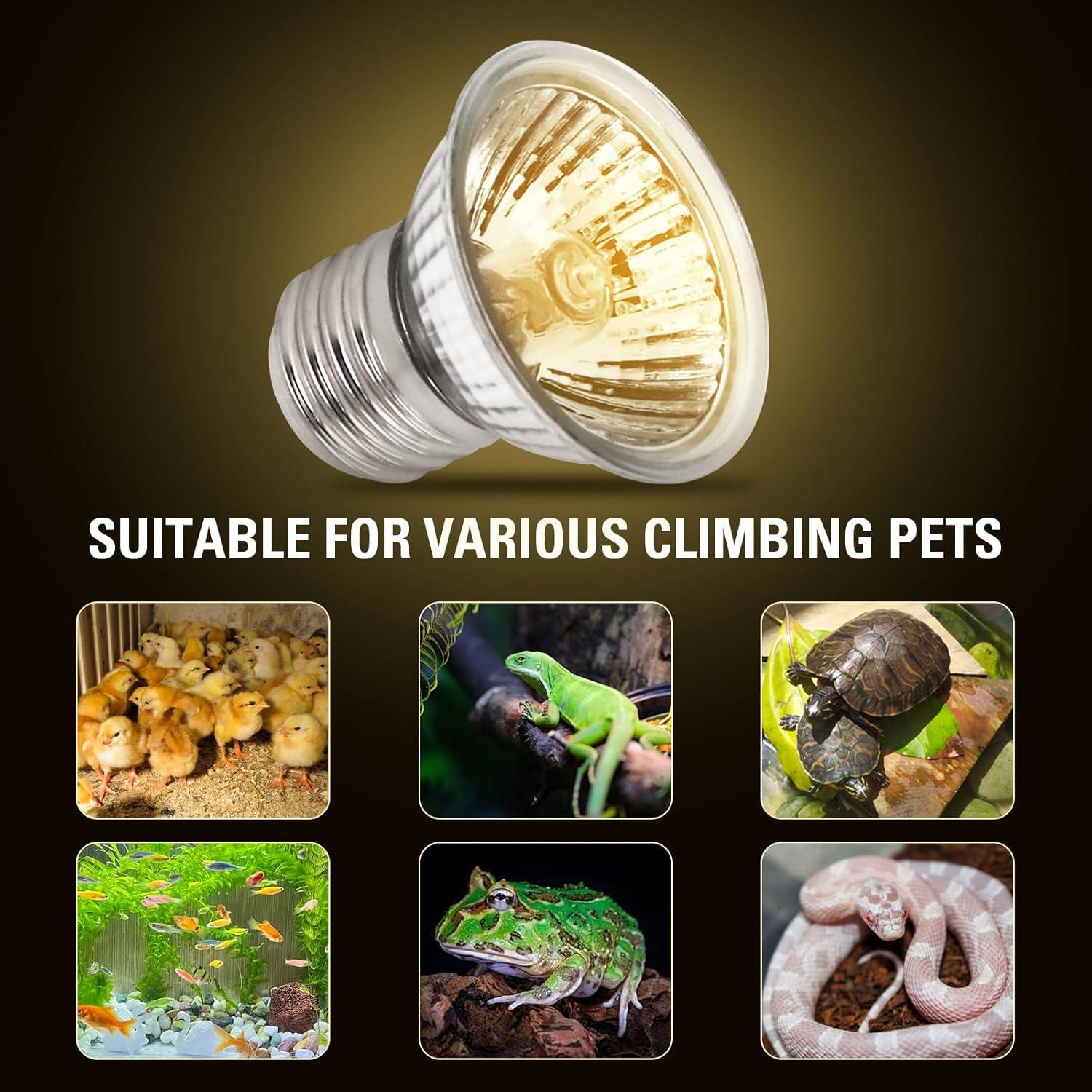 Paquete de 4 bombillas de calor UVA 25W Abustle Pig para reptiles