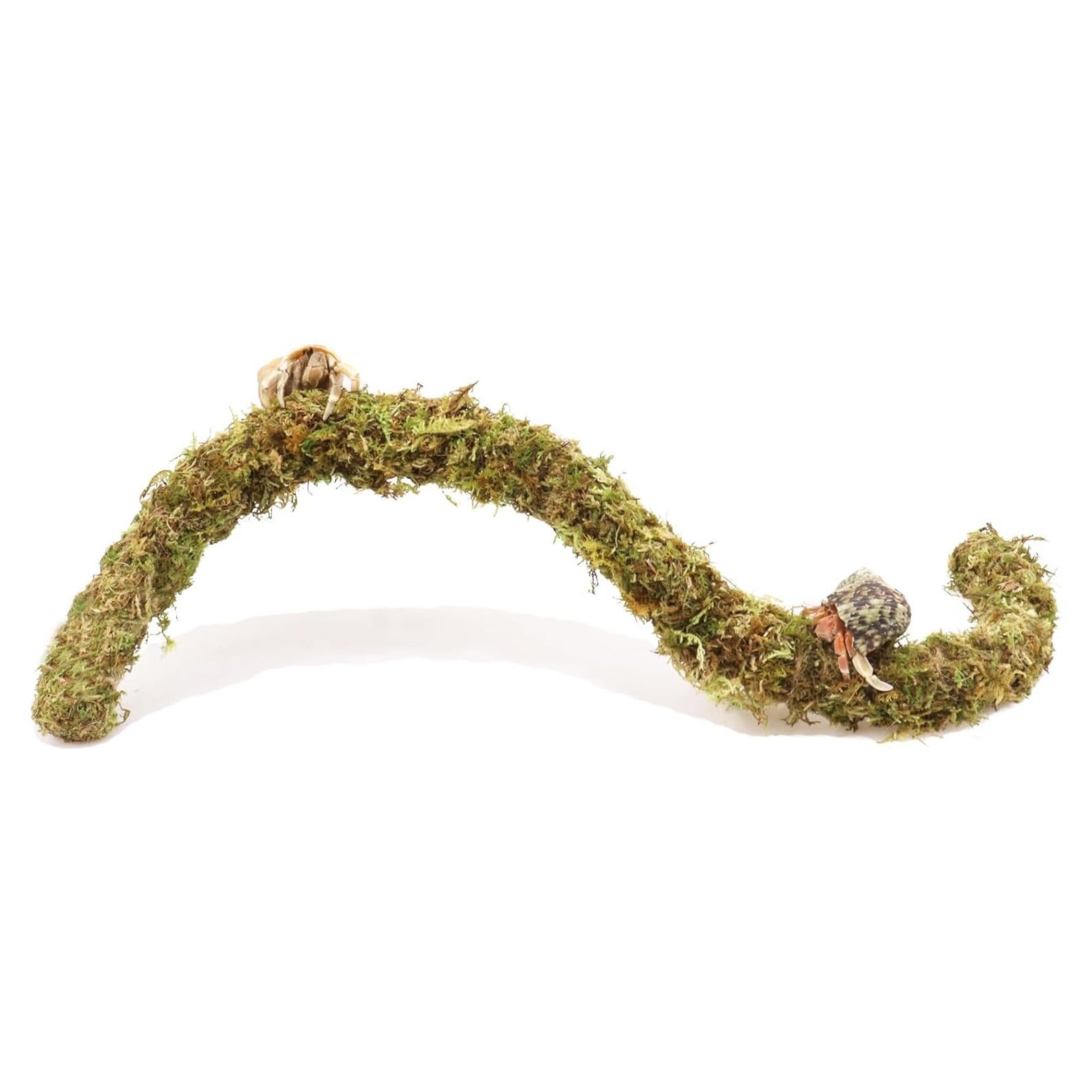 Palo de Musgo para Cangrejos Ermitaños Vitalili 63.5 cm