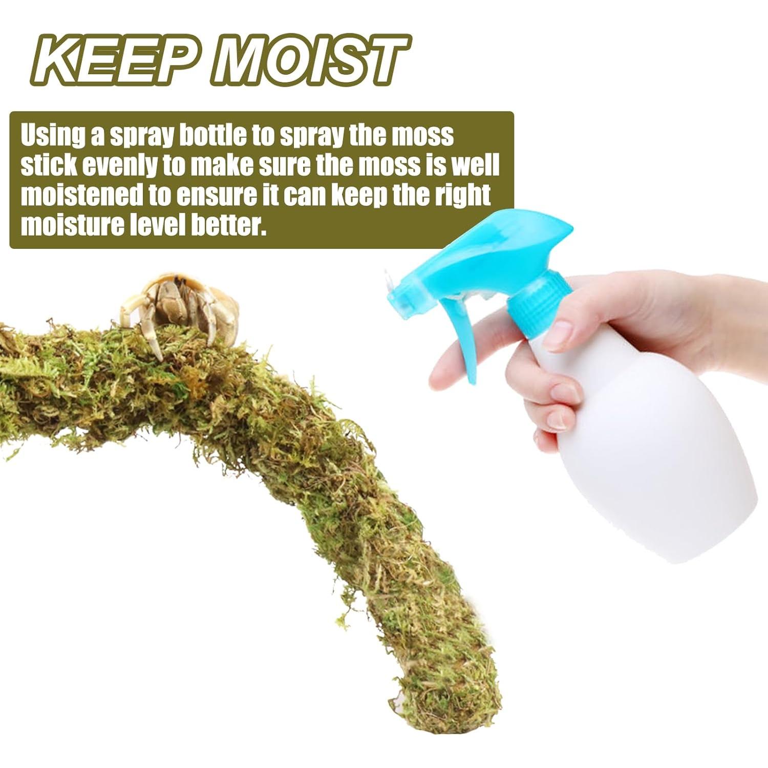 Palo de Musgo para Cangrejos Ermitaños Vitalili 63.5 cm