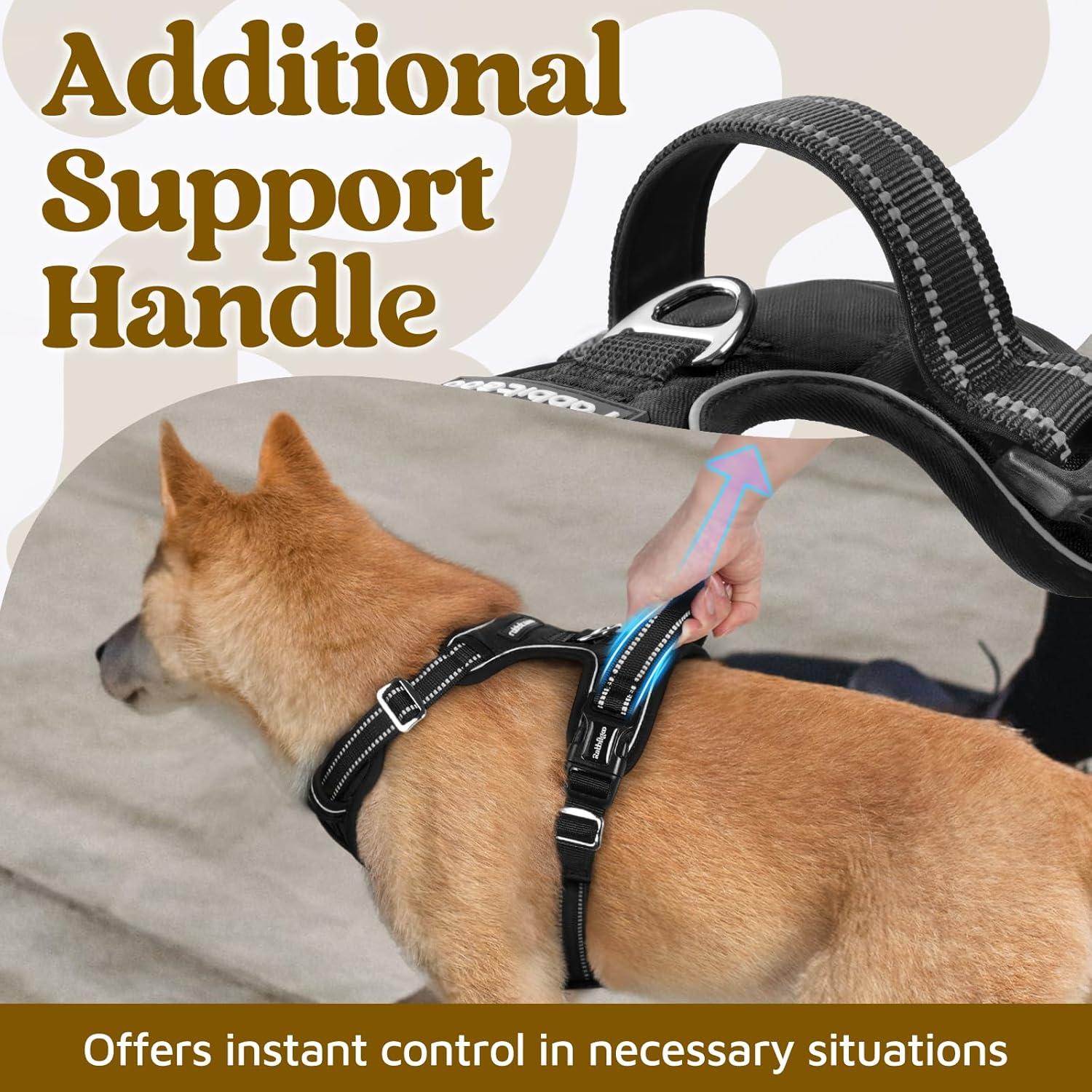 Arnés para Perros Rabbitgoo Pequeño Negro Ajustable y Acolchado