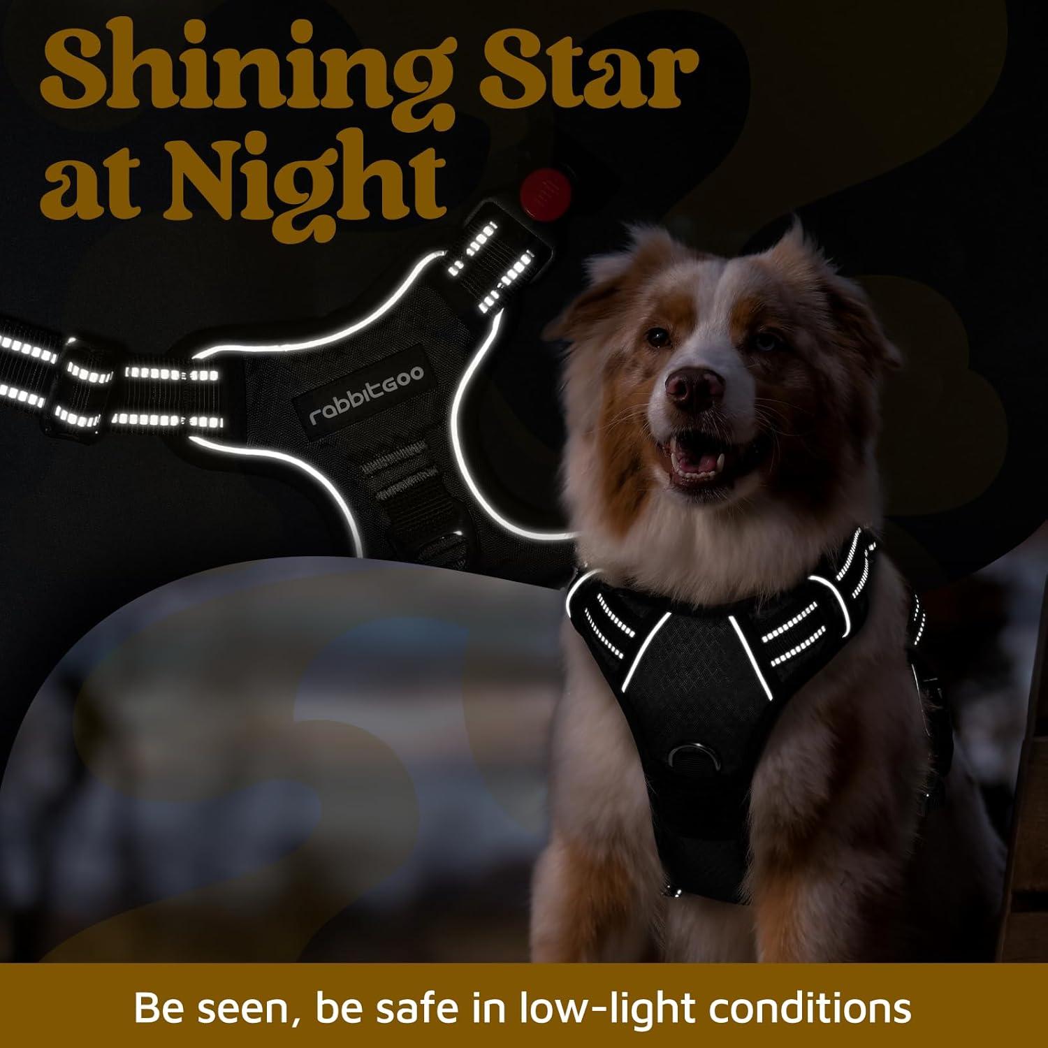 Arnés para Perros Rabbitgoo Pequeño Negro Ajustable y Acolchado