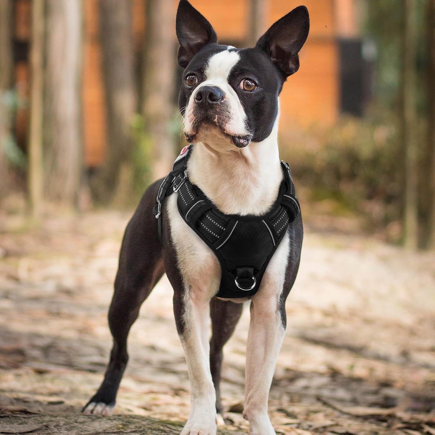 Arnés para Perros Rabbitgoo Pequeño Negro Ajustable y Acolchado