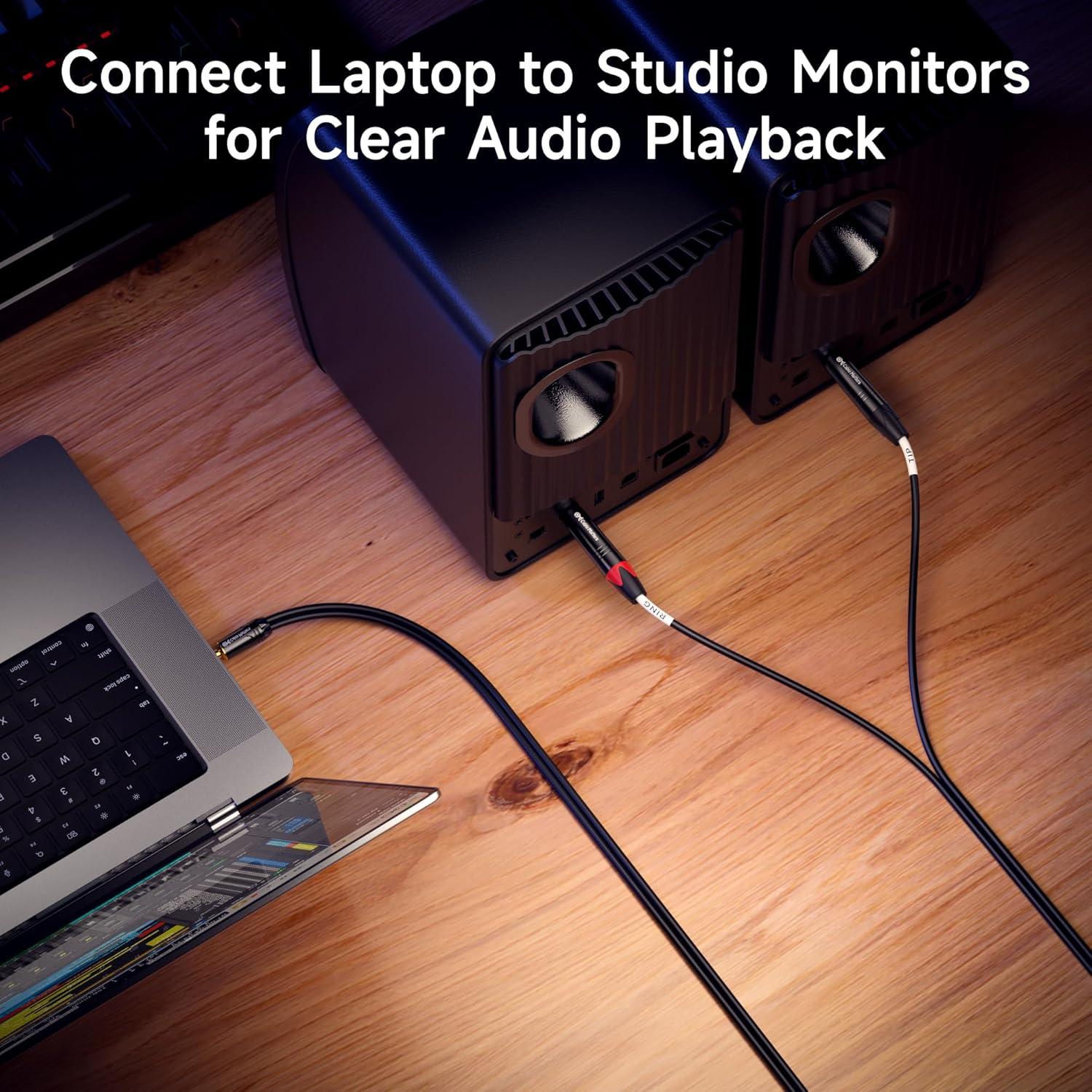 Cable AUX 3.5mm TRS a Doble 6.35mm TS Cable 0.91m