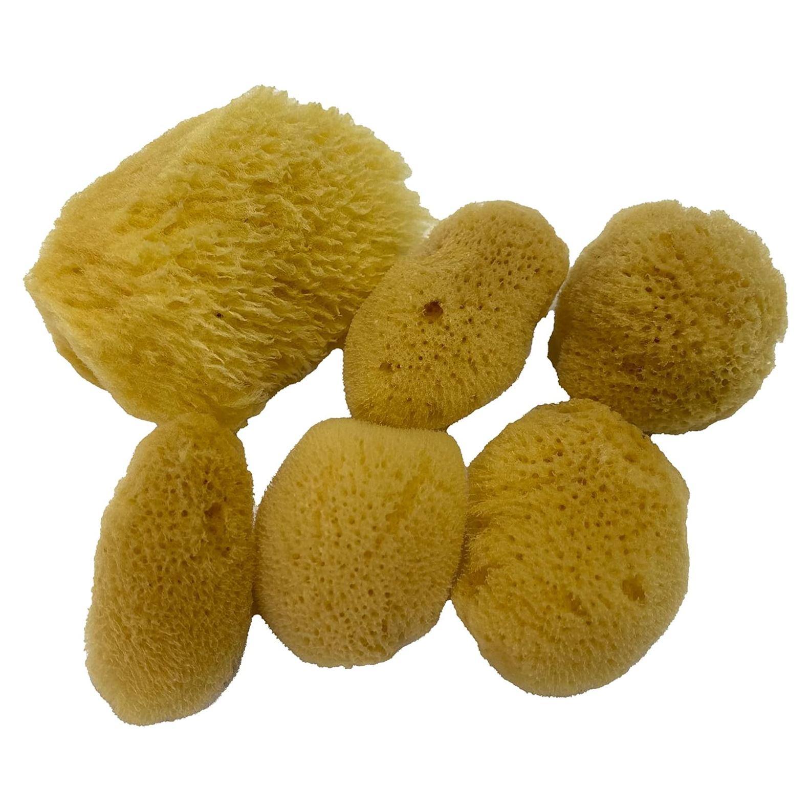 Esponjas de Seda Natural Suave 6 Piezas 3.81-7.62 cm para Maquillaje