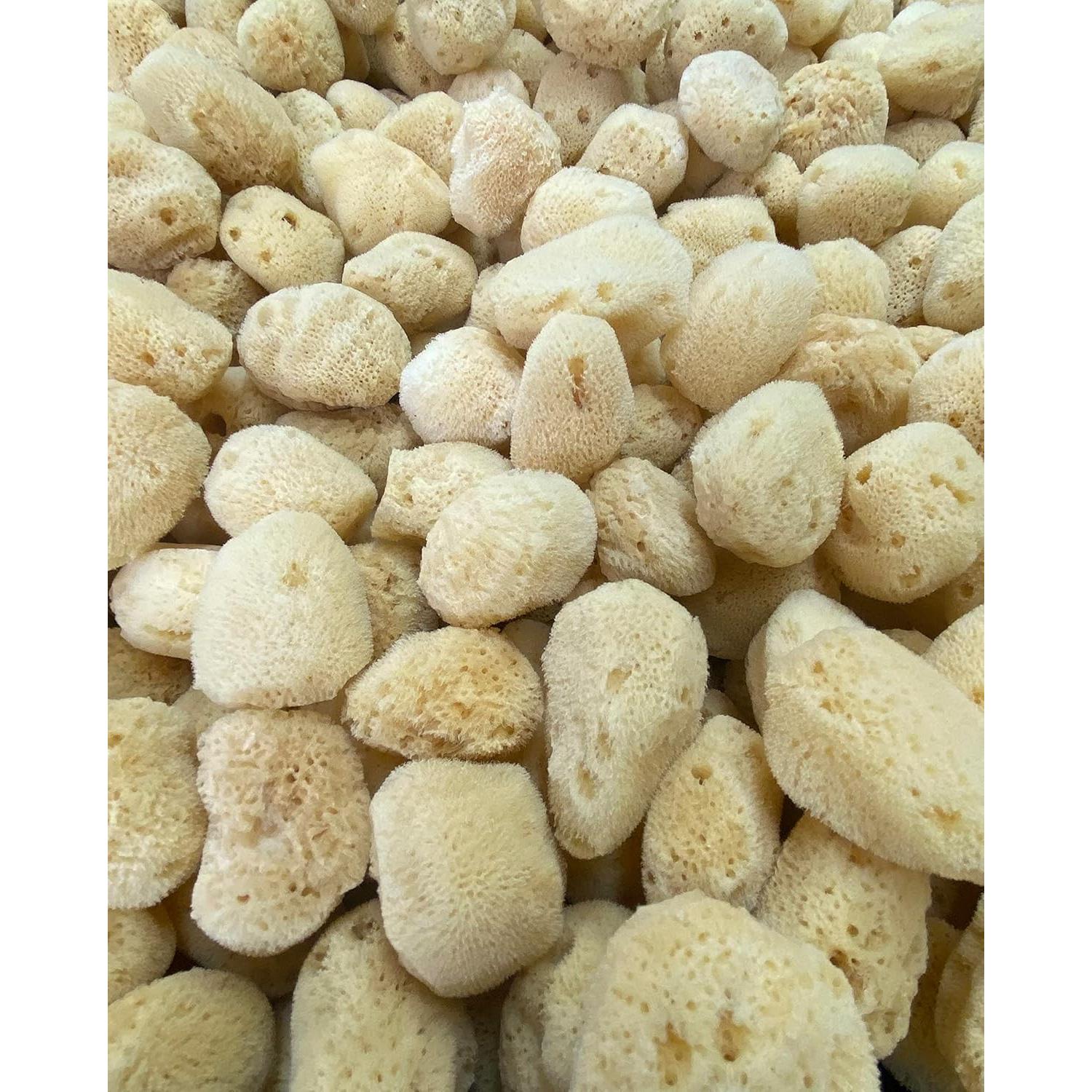 Esponjas de Seda Natural Suave 6 Piezas 3.81-7.62 cm para Maquillaje