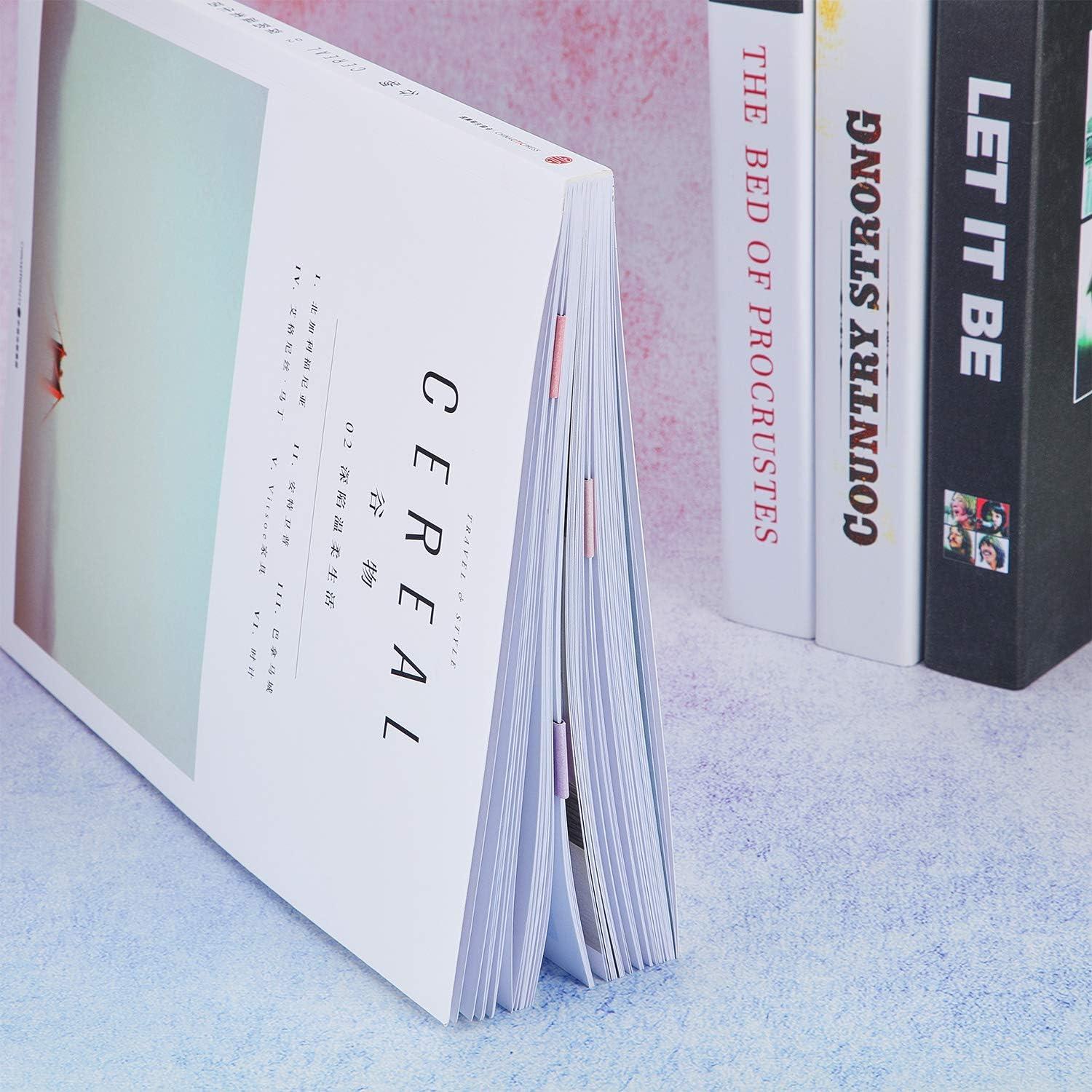 Chinco 10 Marcadores de Página Magnéticos Cactus 6x2 cm