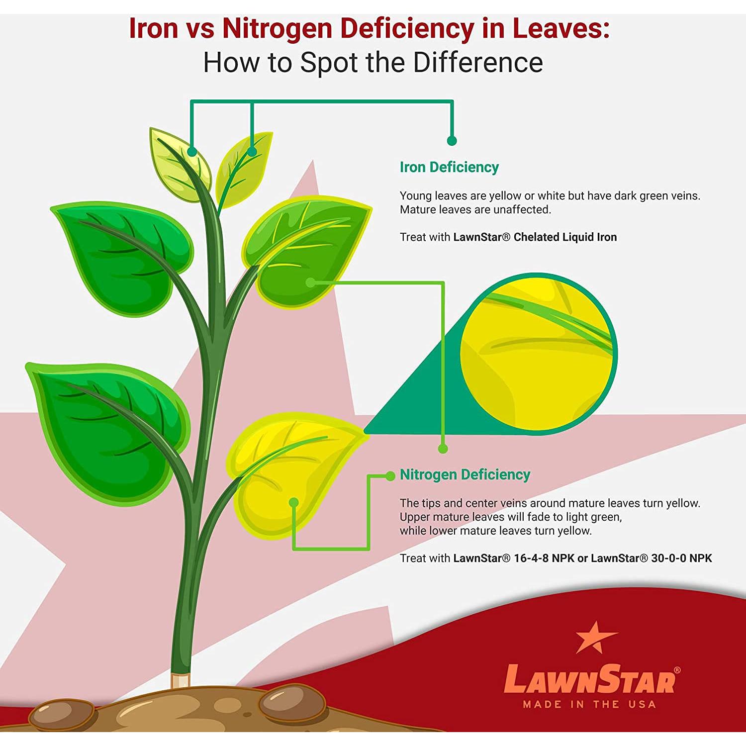 Hierro Líquido Quelado LawnStar 1 Galón - Multiusos para Plantas