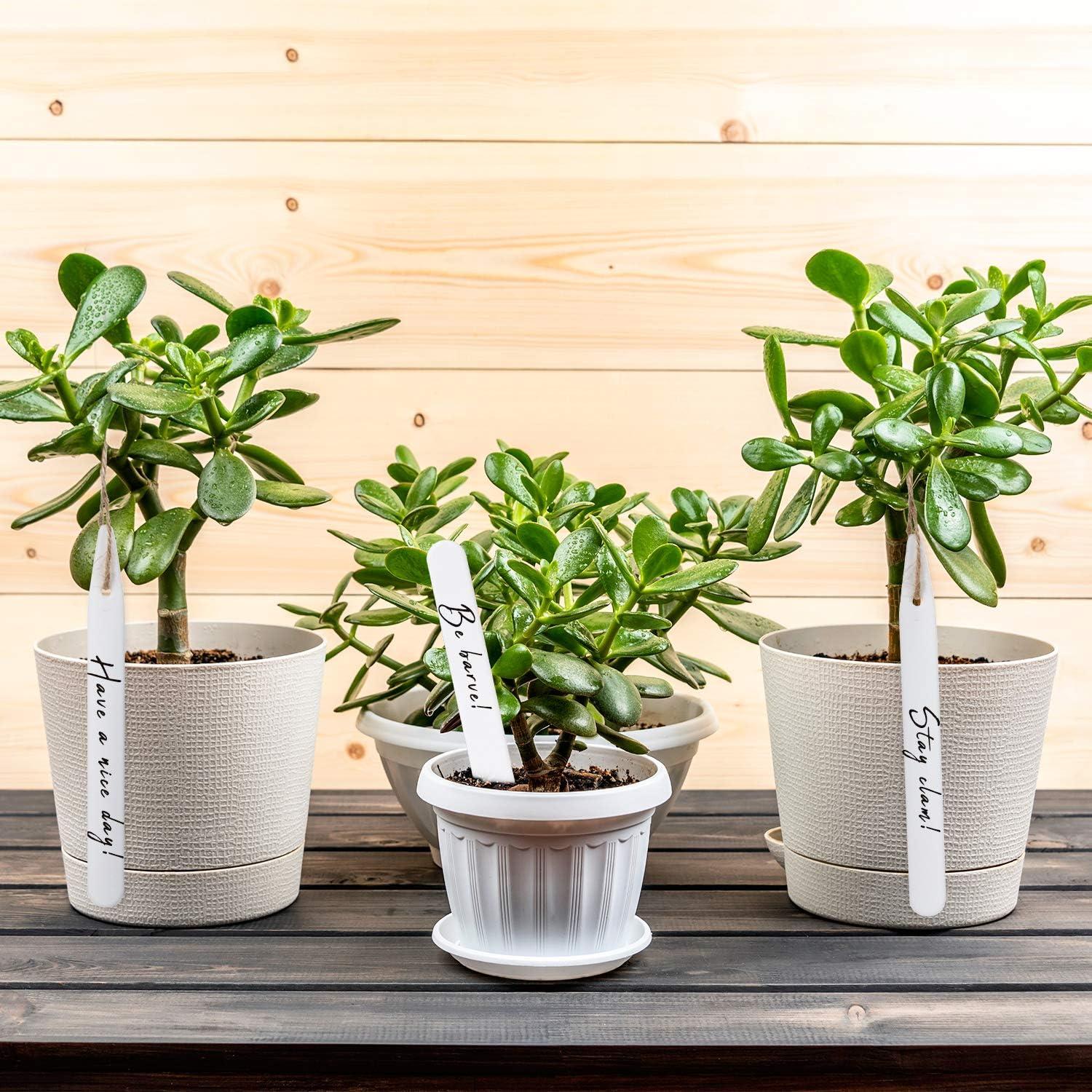 Etiquetas de Jardín Whaline 200 Pcs Blancas 10 CM Impermeables