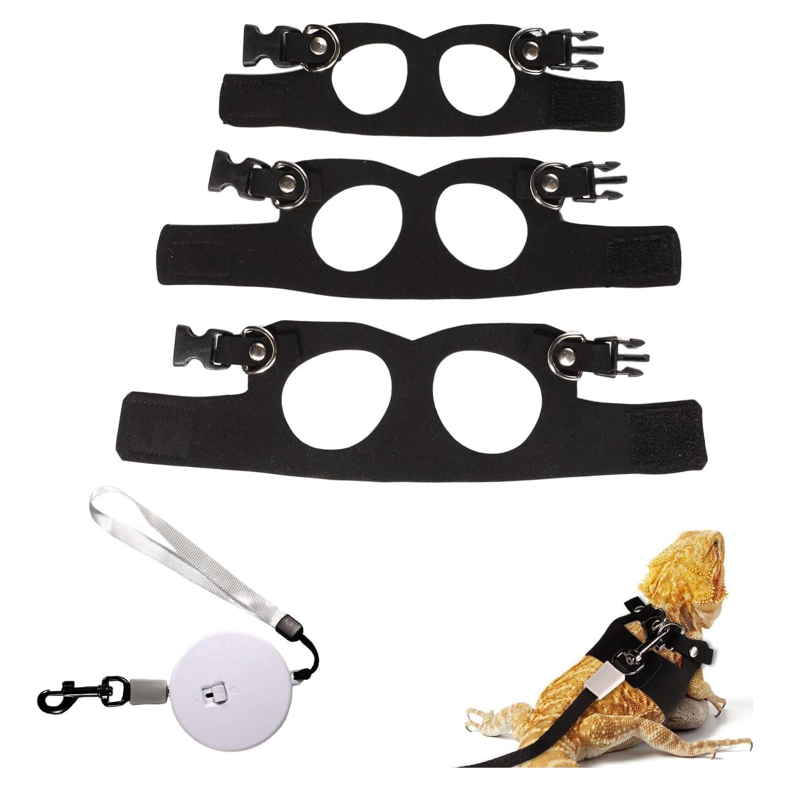 Conjunto Arnés y Correa Retráctil para Dragón Barbudo - 3 Tamaños