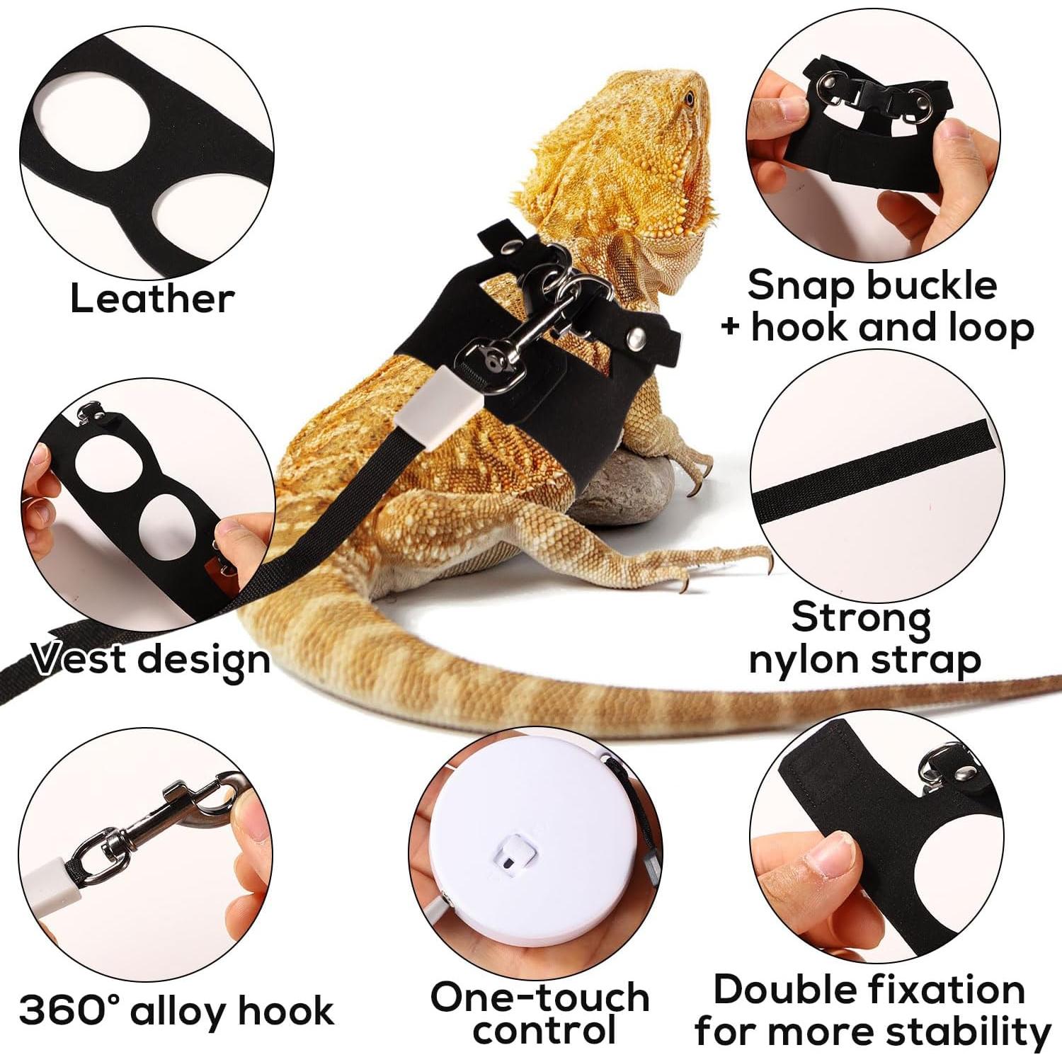 Conjunto Arnés y Correa Retráctil para Dragón Barbudo - 3 Tamaños