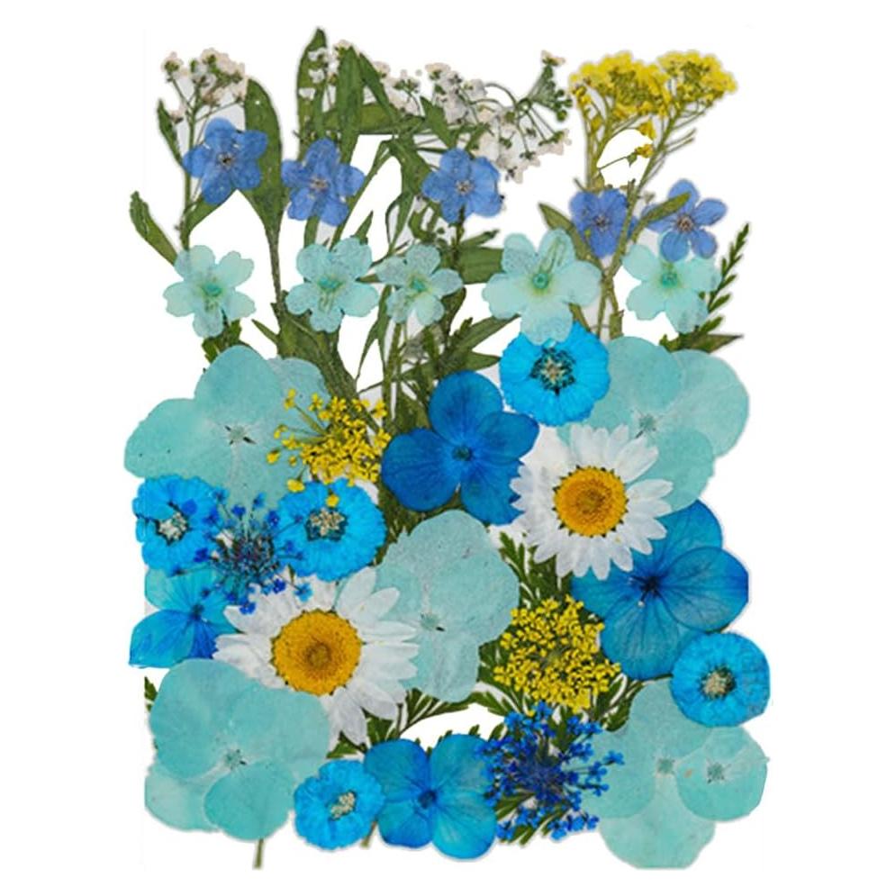Flores Secas Presionadas DEARPIH 42 Piezas para Manualidades