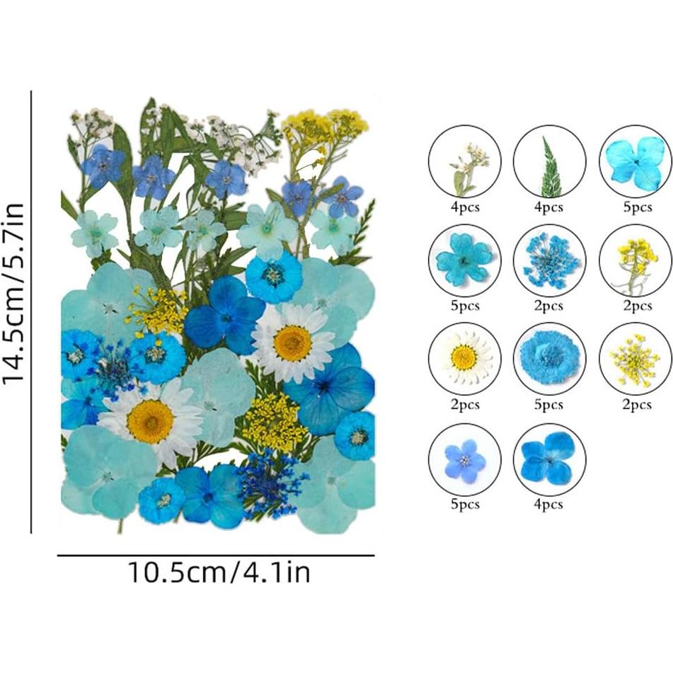 Flores Secas Presionadas DEARPIH 42 Piezas para Manualidades