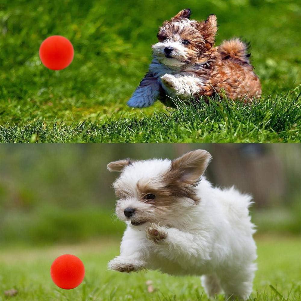 5 Juguetes Interactivos para Perros Pequeños Volacopets