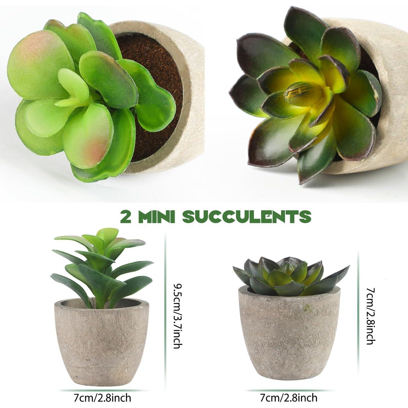 ALAGIRLS 4 Plantas Artificiales Eucalipto en Macetas Decorativas