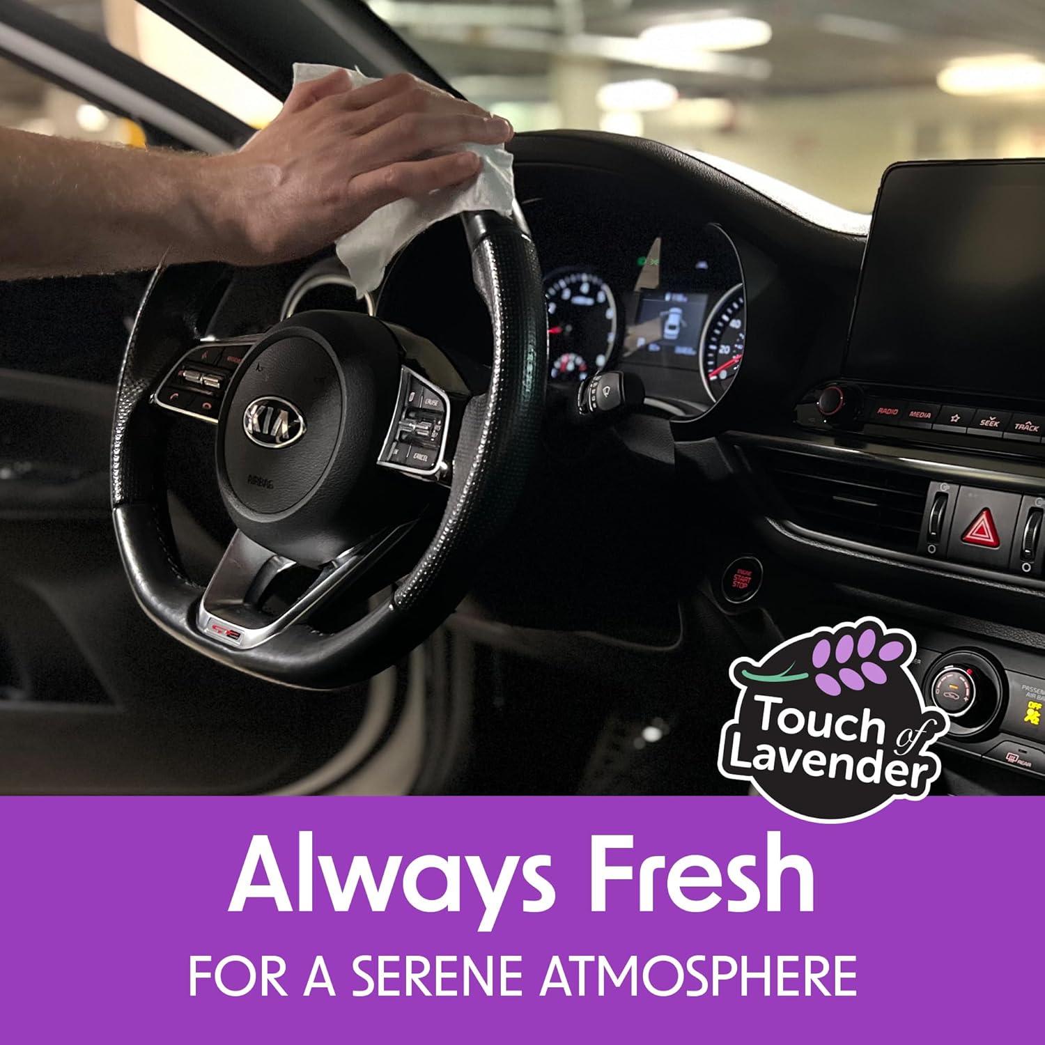 Toallitas de Limpieza para Interiores de Auto Wipex 40Ct