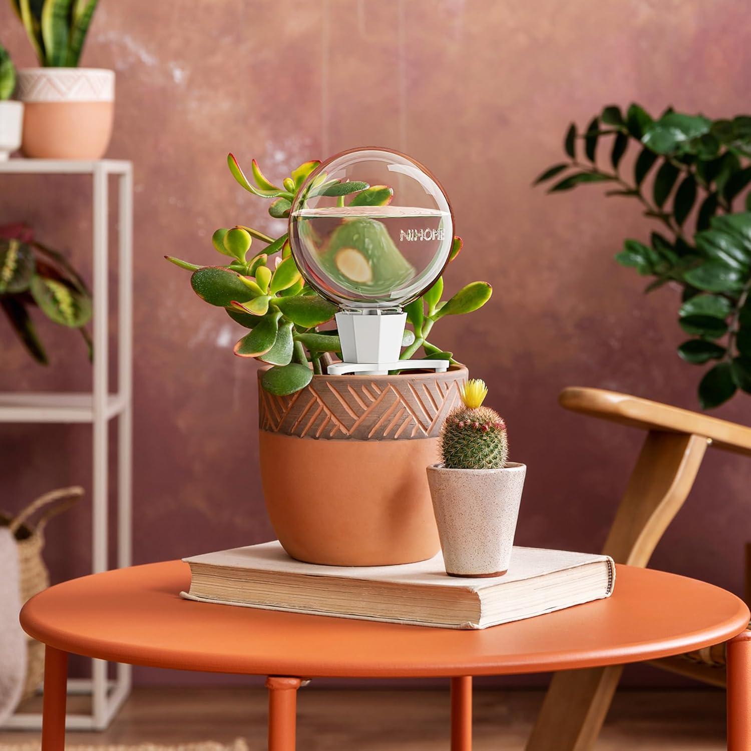 NiHome 4PCS Esferas de Riego Automático de Arcilla 0.5L