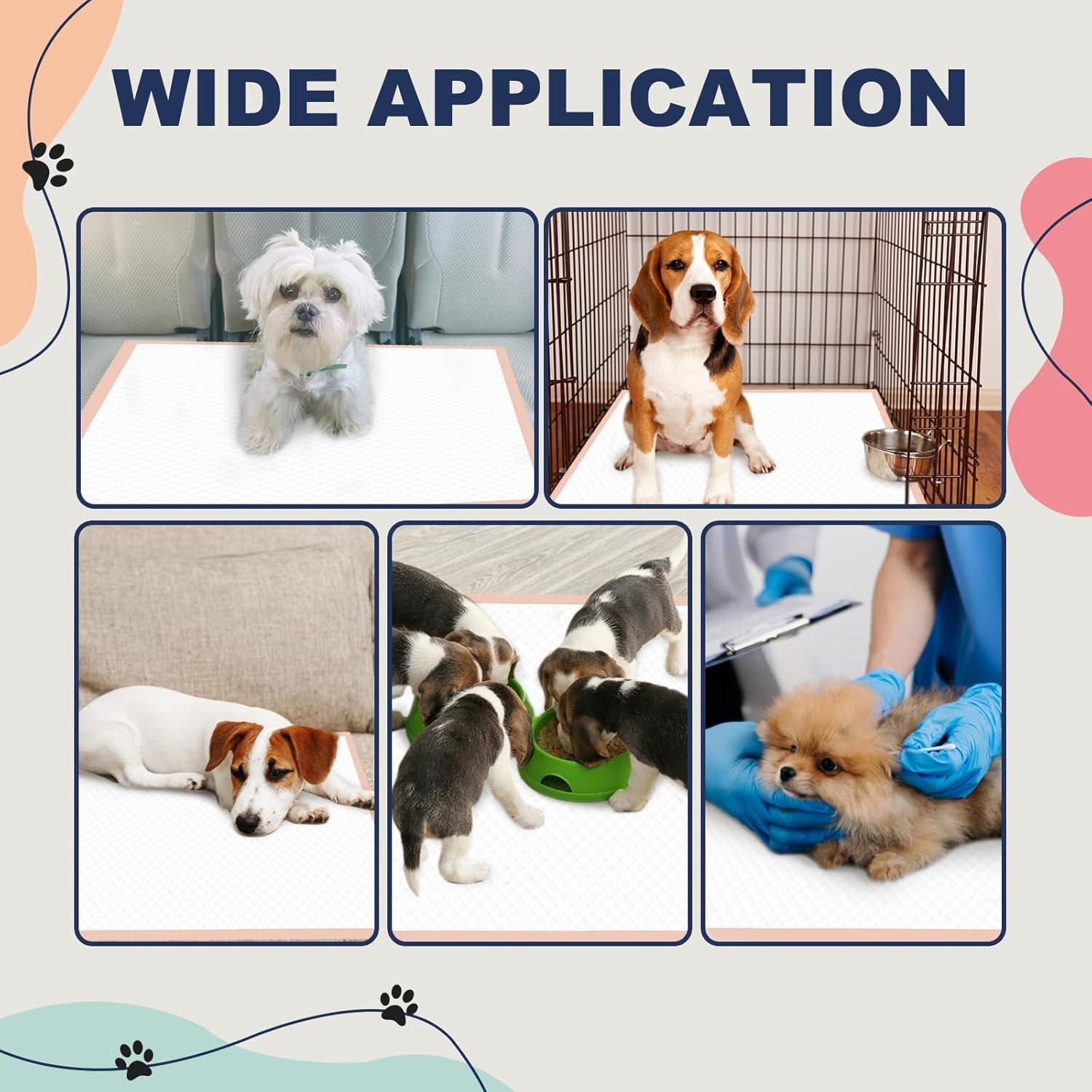 Alfombrillas para Orina de Perro XXL Rosa 91x76 cm - 25 Unidades