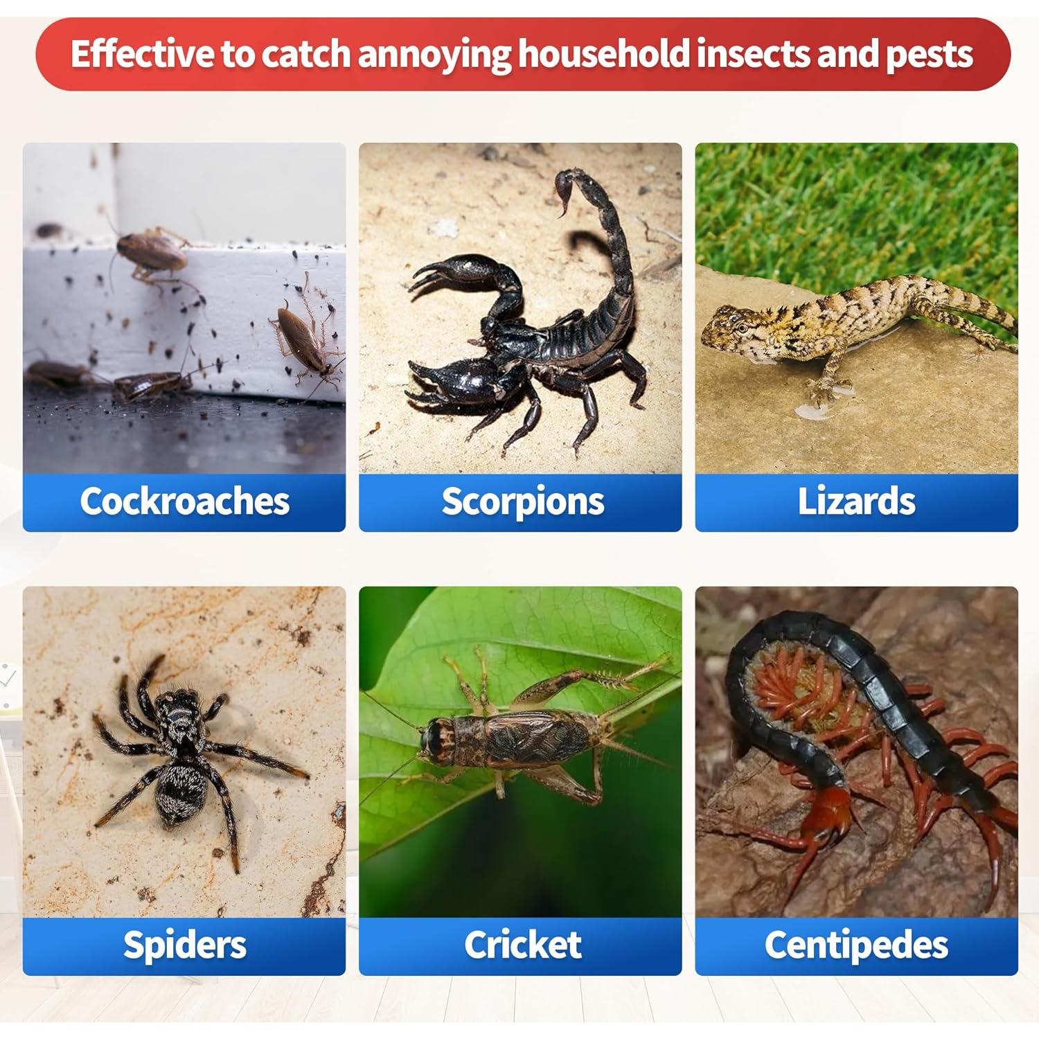 Trampas de Pegamento LULUCATCH 12 Piezas para Ratones e Insectos