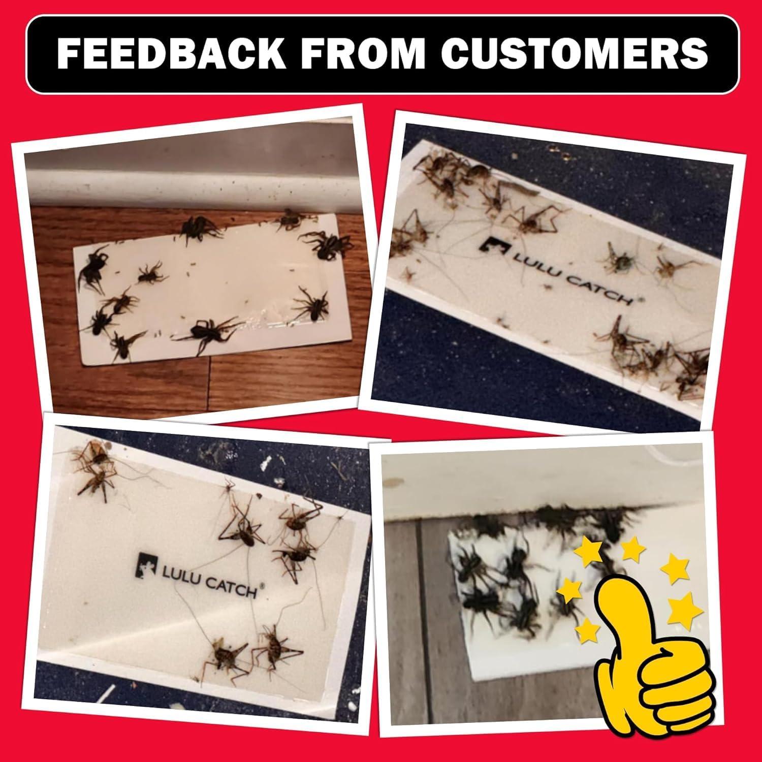 Trampas de Pegamento LULUCATCH 12 Piezas para Ratones e Insectos