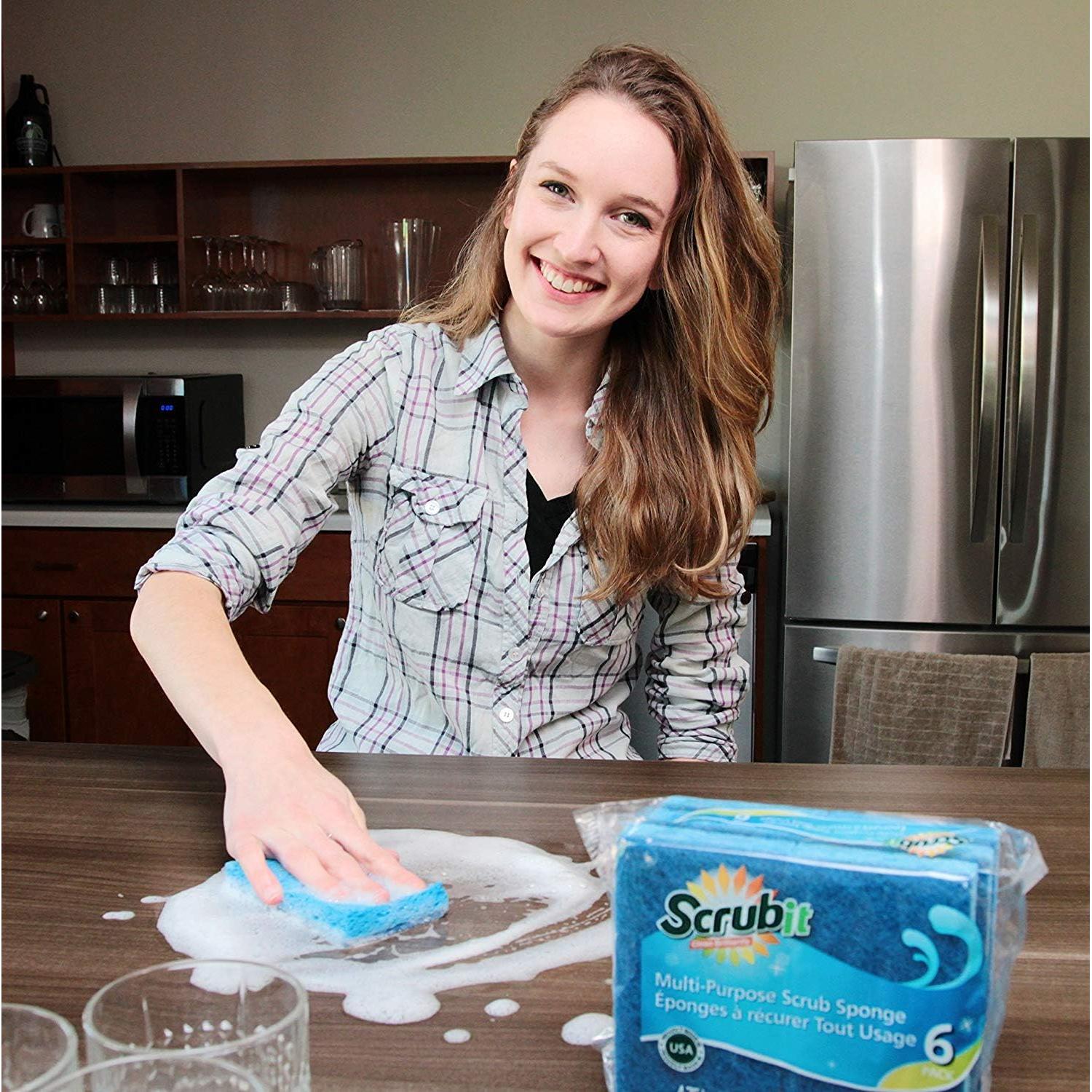 Esponjas de Limpieza Scrubit 6 Unidades Biodegradables