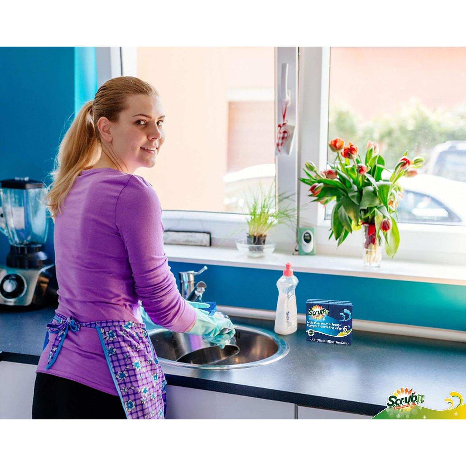 Esponjas de Limpieza Scrubit 6 Unidades Biodegradables