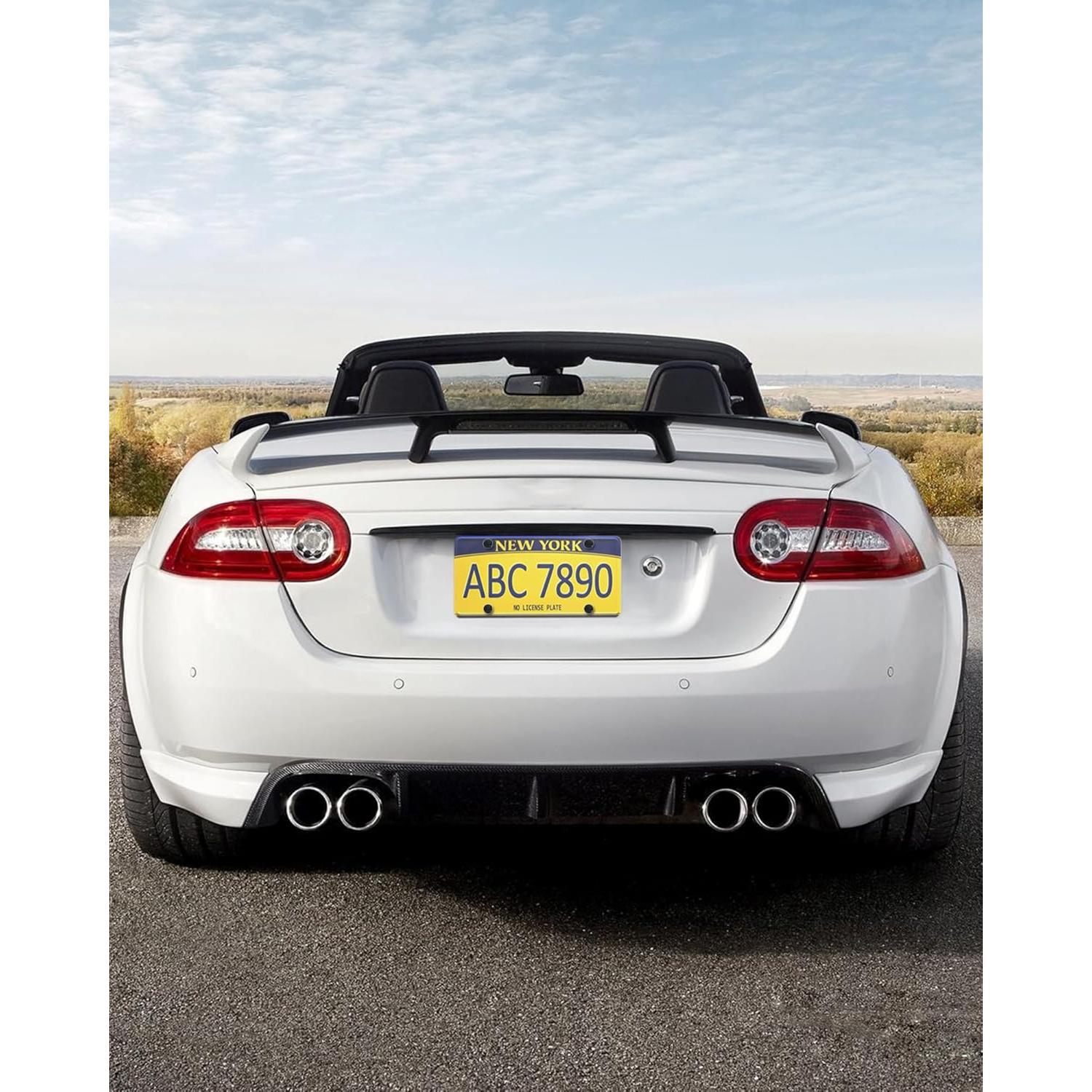 Cubierta de Placa de Licencia RCKJNJ Transparente - Paquete de 2