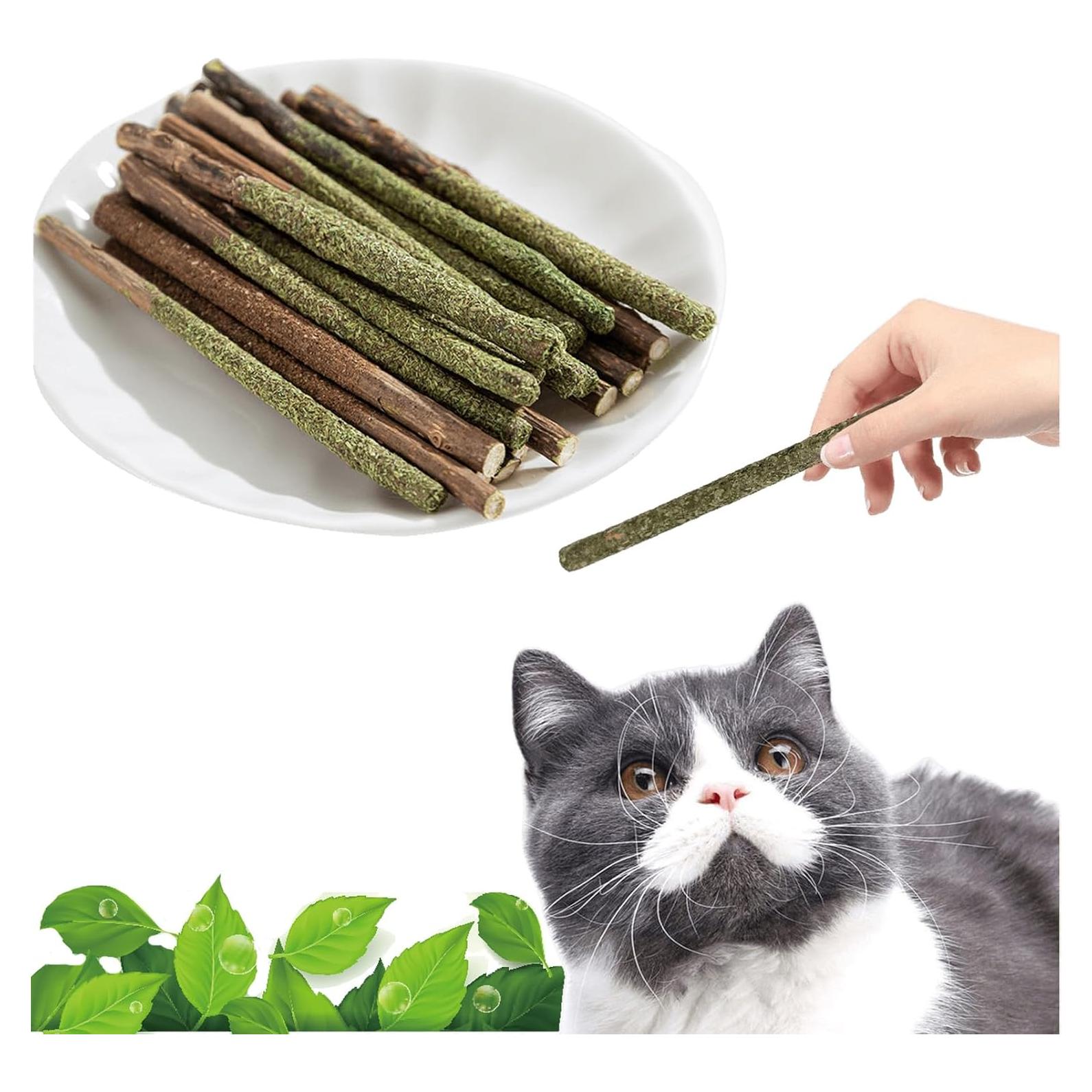 Palitos Masticables de Silvervine Maiguangta para Gatos - 12 Pcs