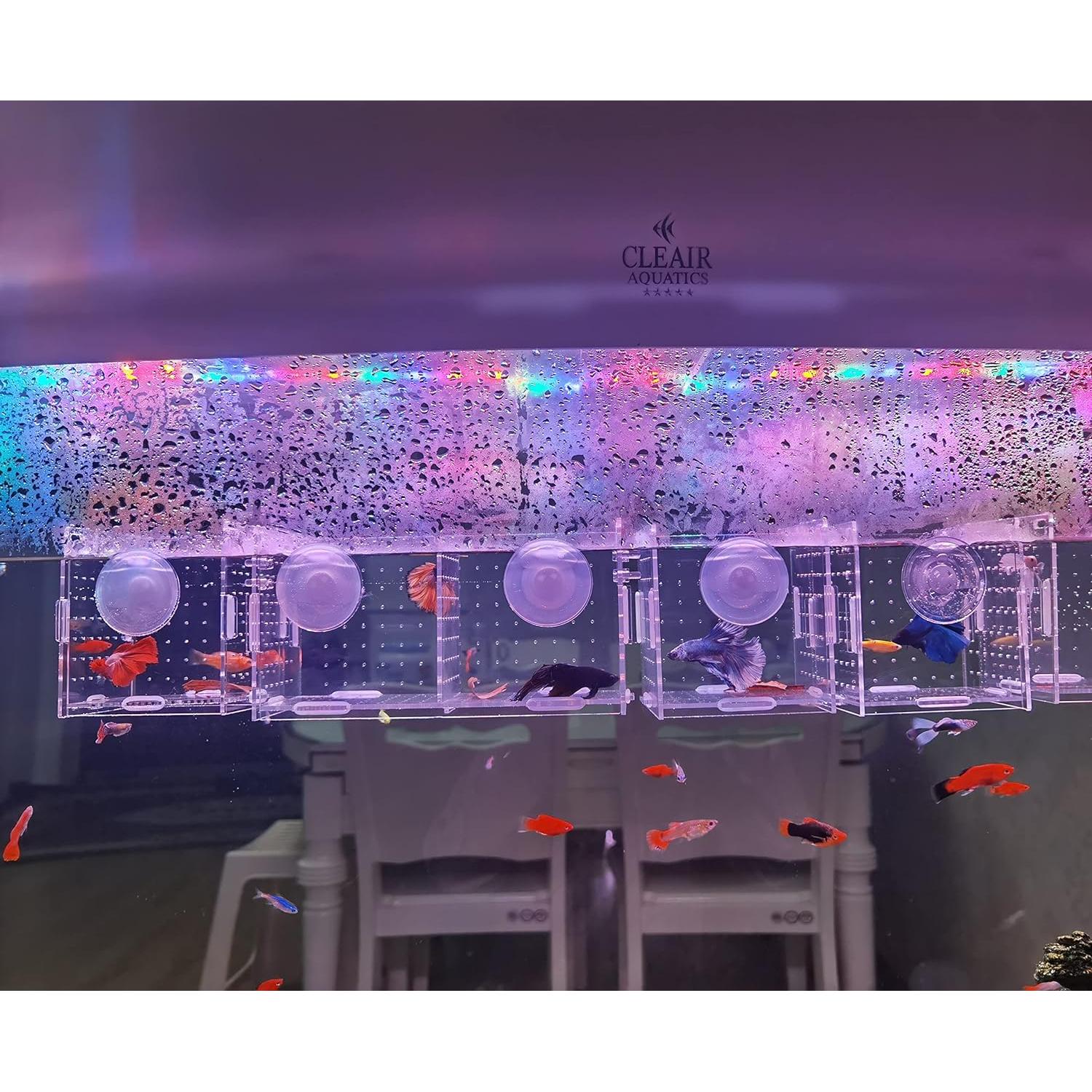 Caja de cría de peces acrílica AWXZOM 9.9x9.9x9.9 cm