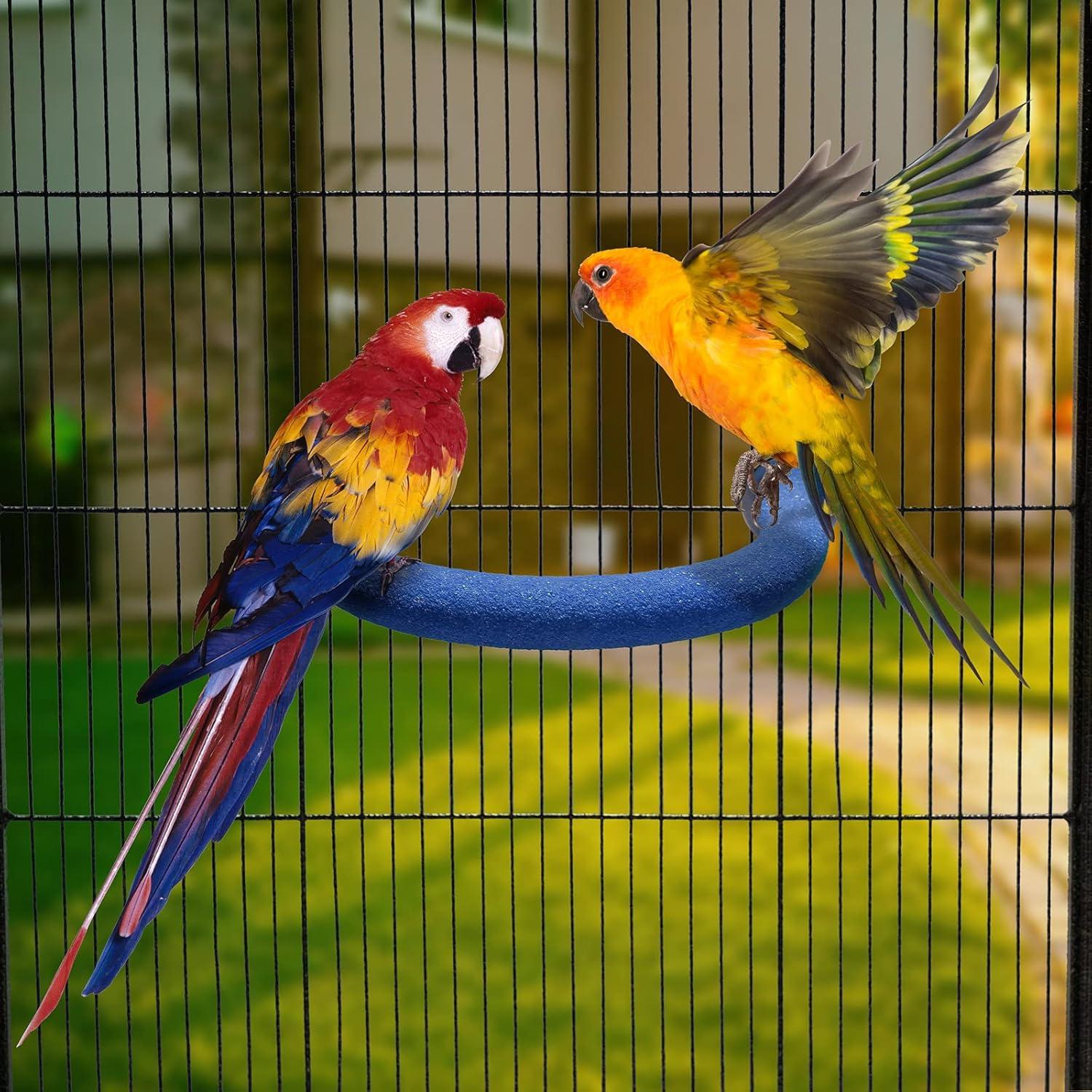 Soporte de Percha para Aves FrgKbTm Pequeño Azul 20x15.5cm