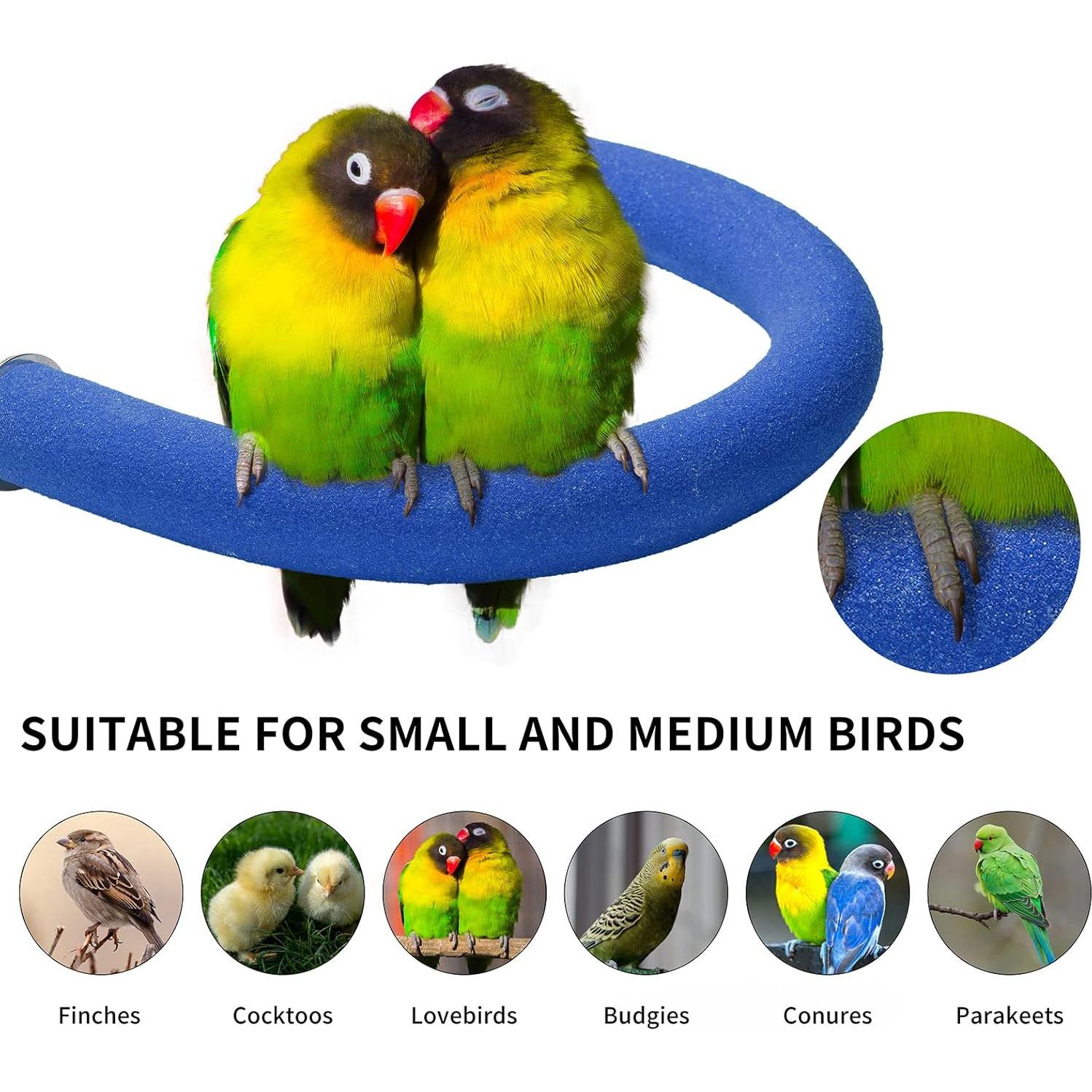 Soporte de Percha para Aves FrgKbTm Pequeño Azul 20x15.5cm