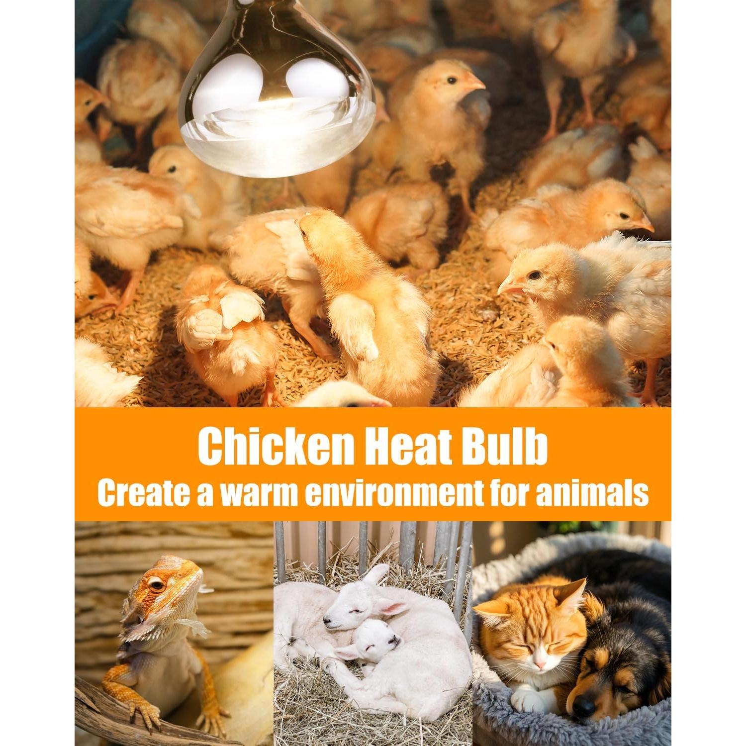 Bombillas de Calor VORIGY 250W E26 R40 8000 Horas 2 Paquete