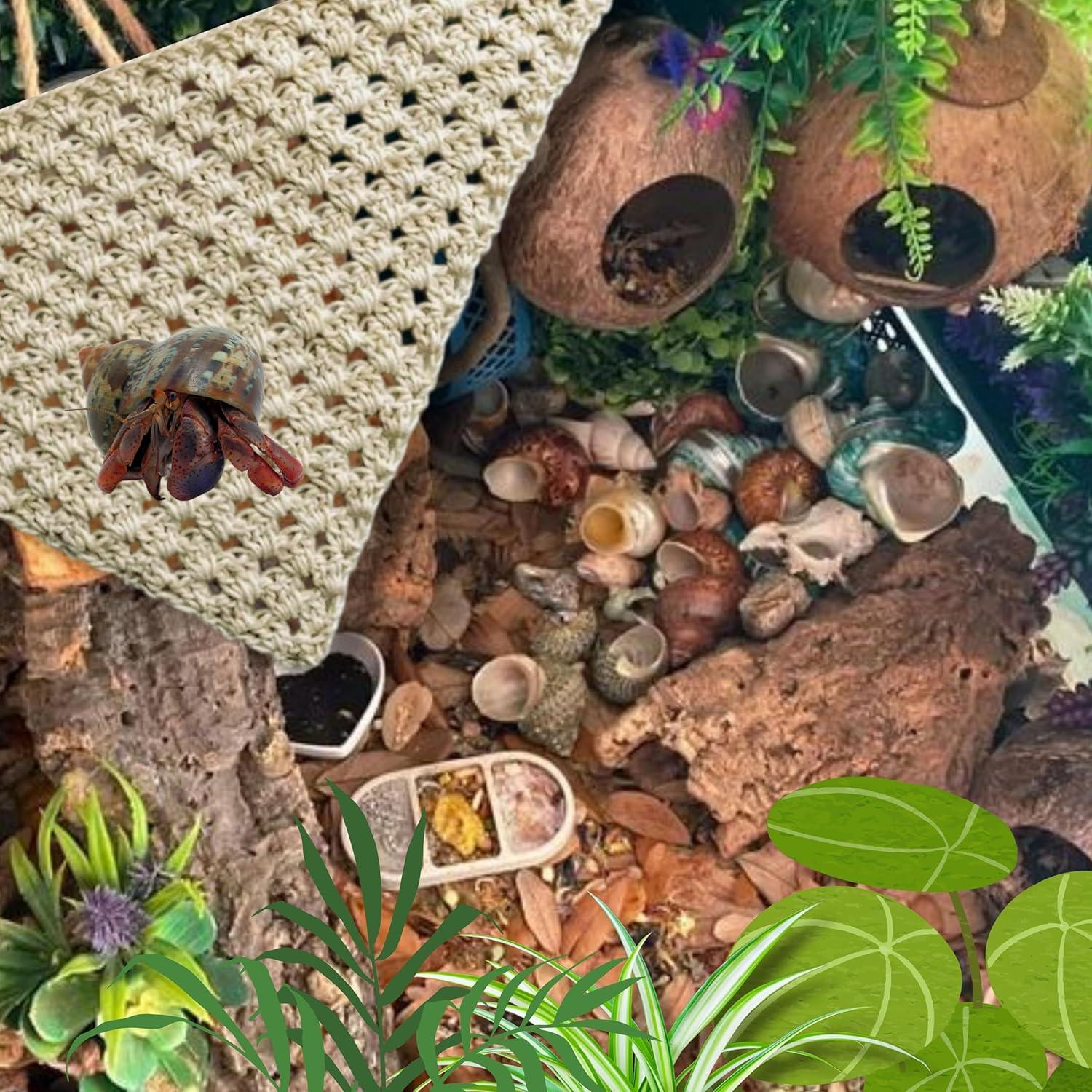 Red de Escalada para Cangrejo Ermitaño Homedy M - Triangular