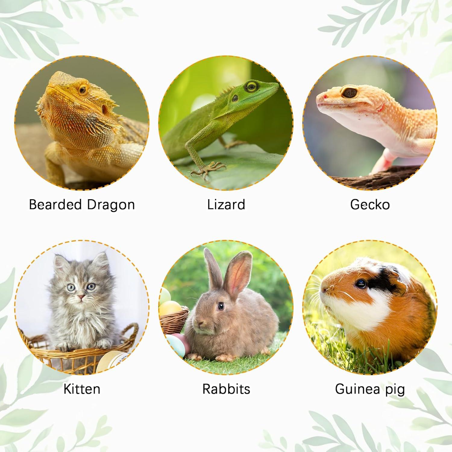 Mochila Transportadora para Reptiles Kathson Negra 32x18x42 cm