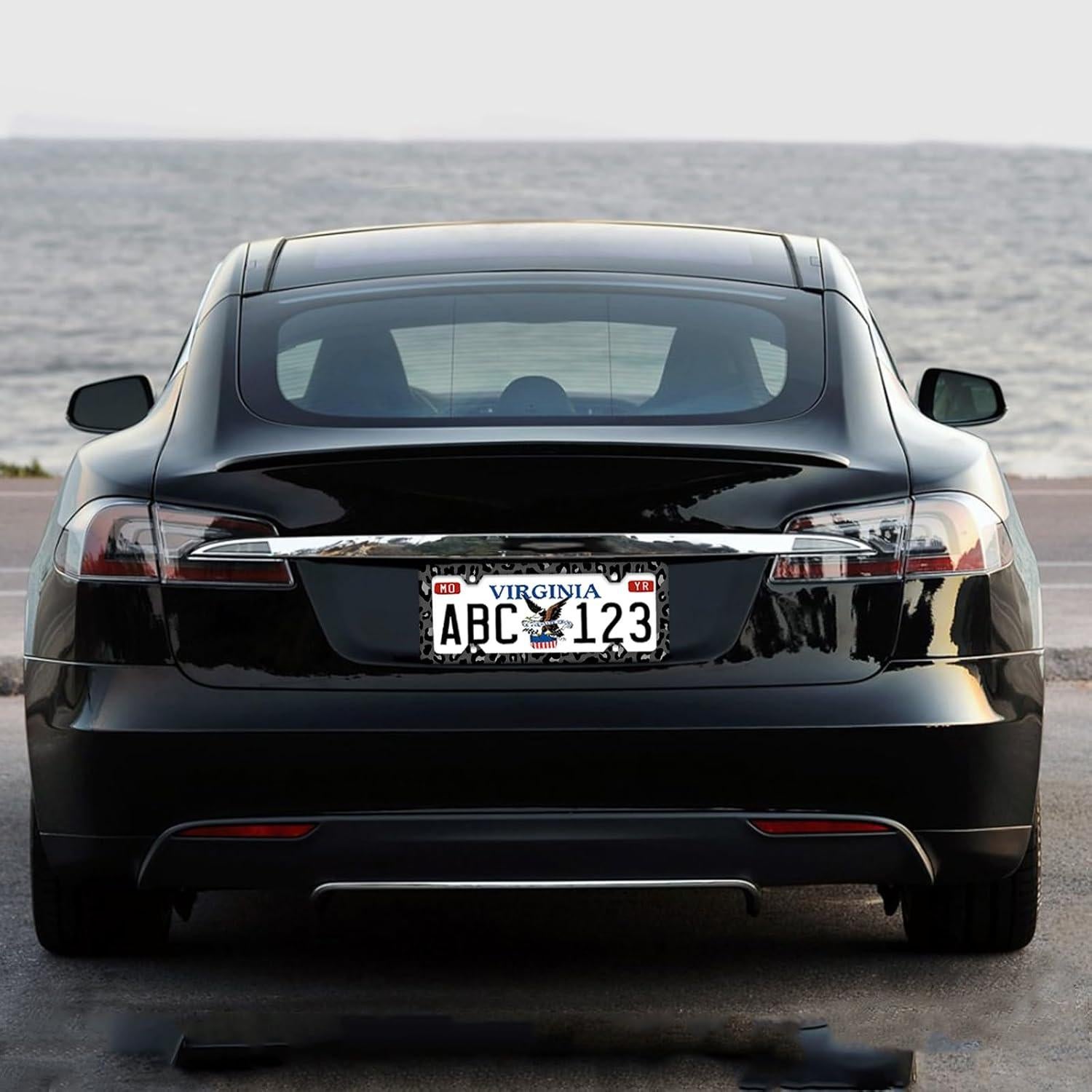 Marco de Placa de Licencia Ceckooty Leopardo Gris Negro 31.2x15.9cm