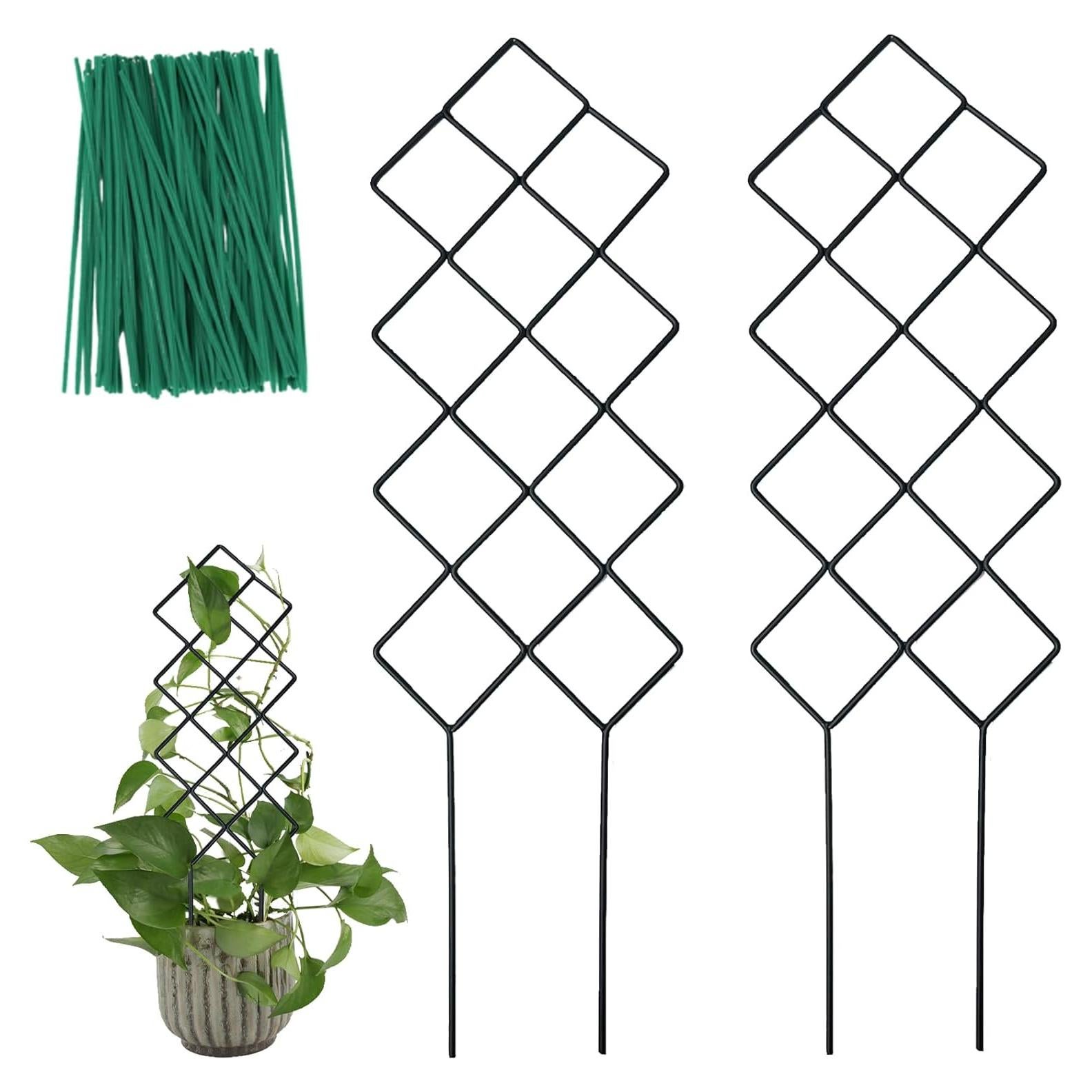 Trellis de Metal WellSign para Plantas Trepadoras 41.5x13 cm