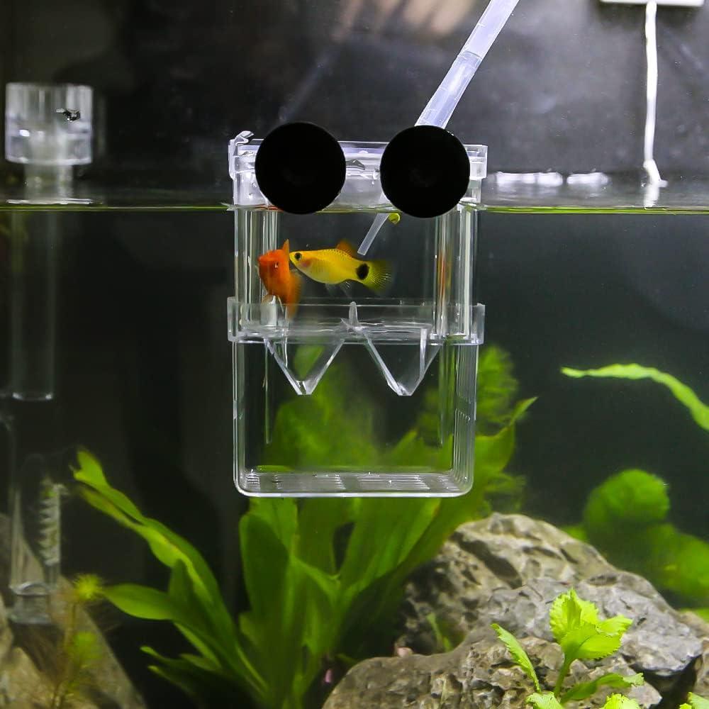 Caja de Cría de Peces Senzeal 105x75x135mm con Ventosas