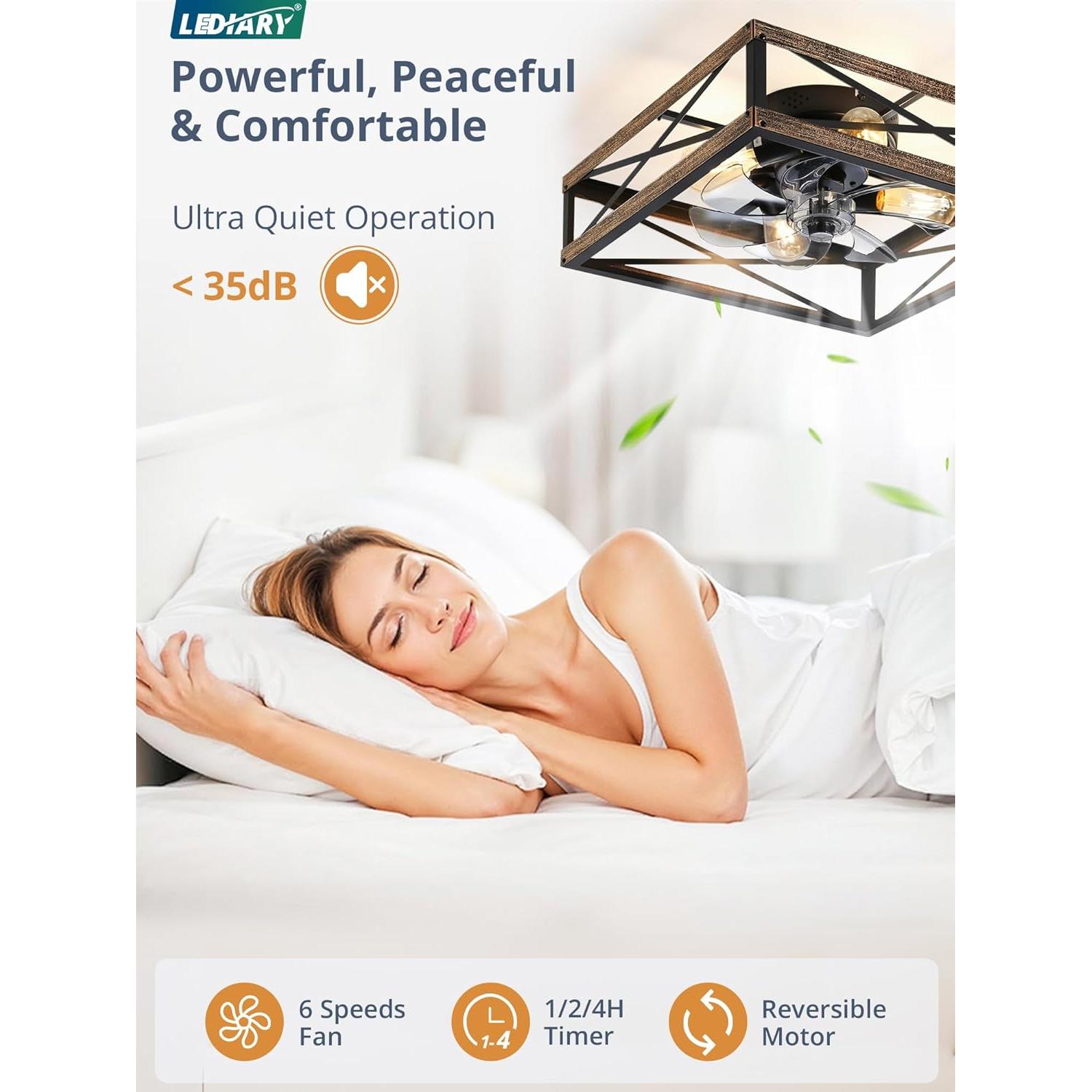 Ventilador de Techo LEDIARY 20" Caged con Control Remoto y 6 Velocidades