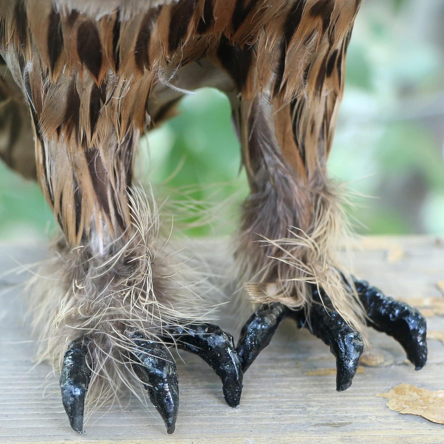 Figura de Búho Plumado Realista Basuo-9Q 27 cm Decoración