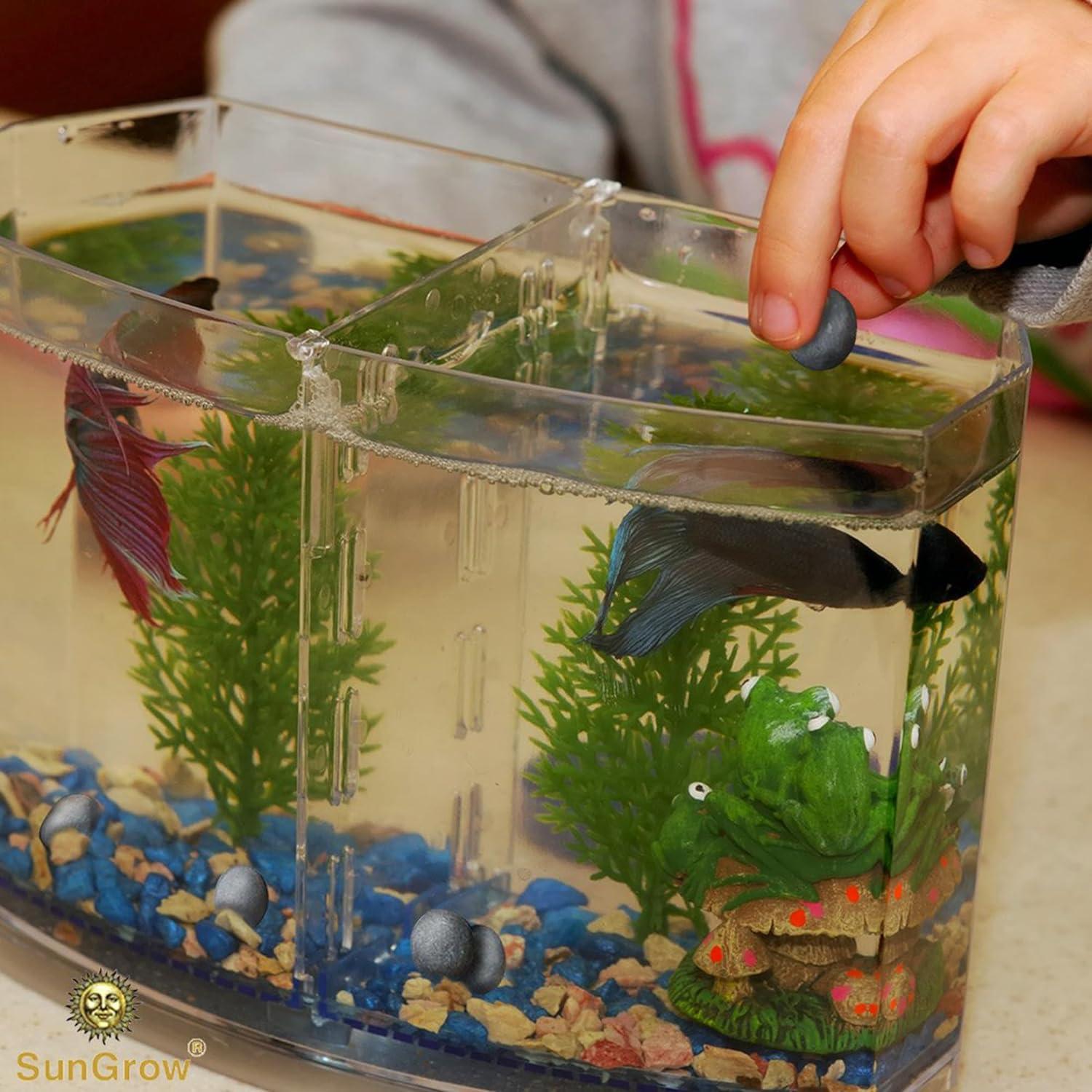 SunGrow Bolas de Calcio para Acuario Betta - 10 Piezas