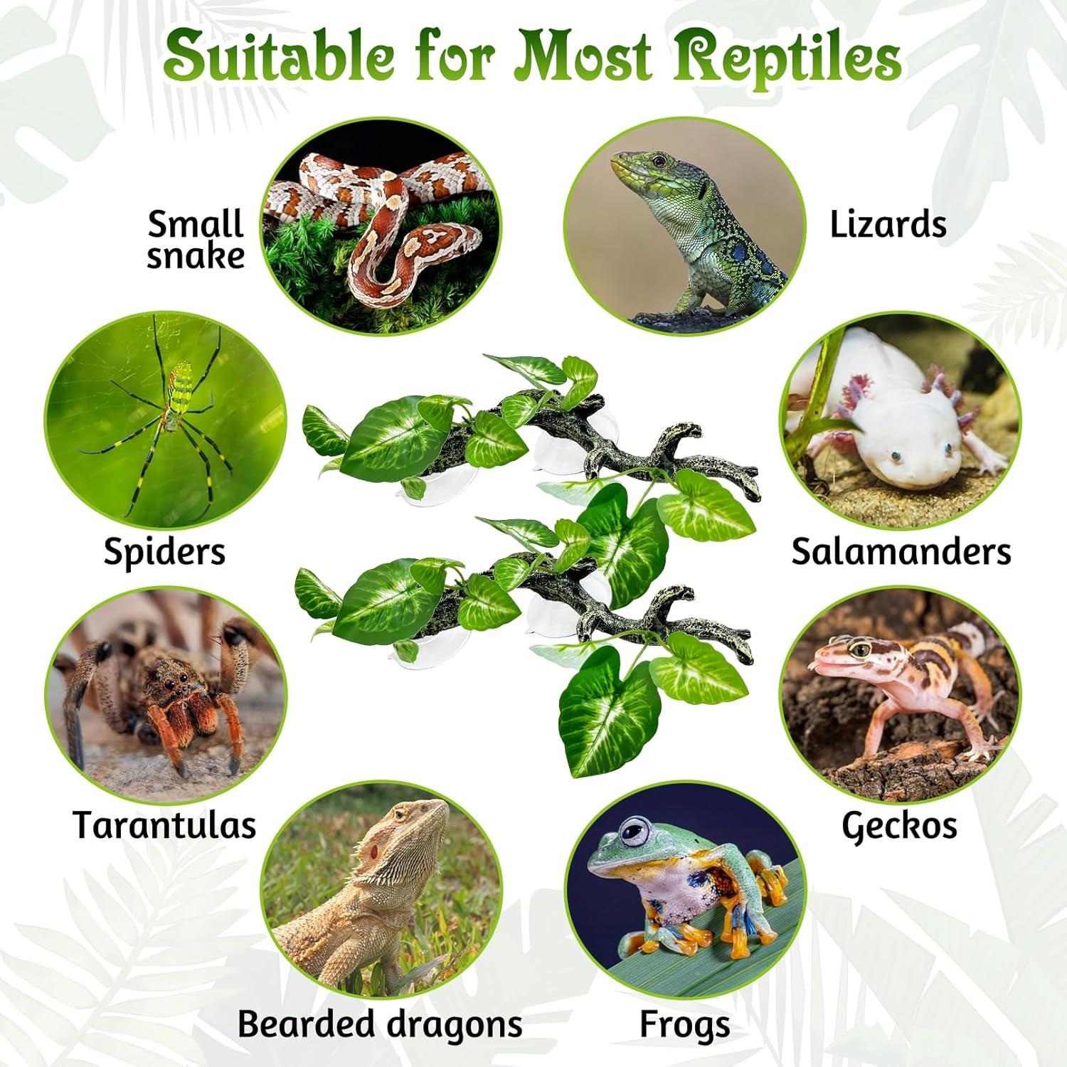 Rama de Esquina para Reptiles Tfwadmx - 4 Piezas Decorativas