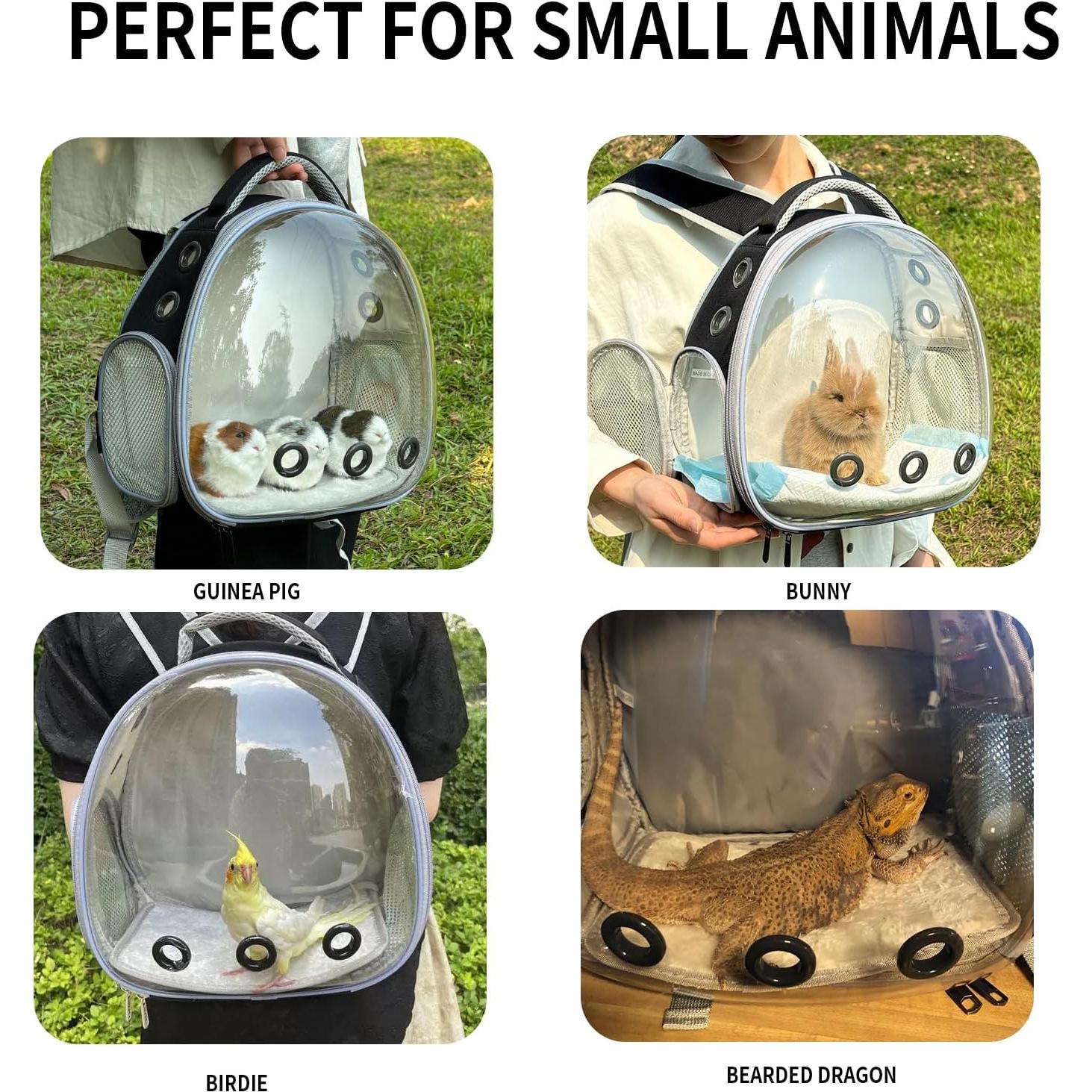 Transportador de Mochila para Dragón Barbudo uoopet Negro