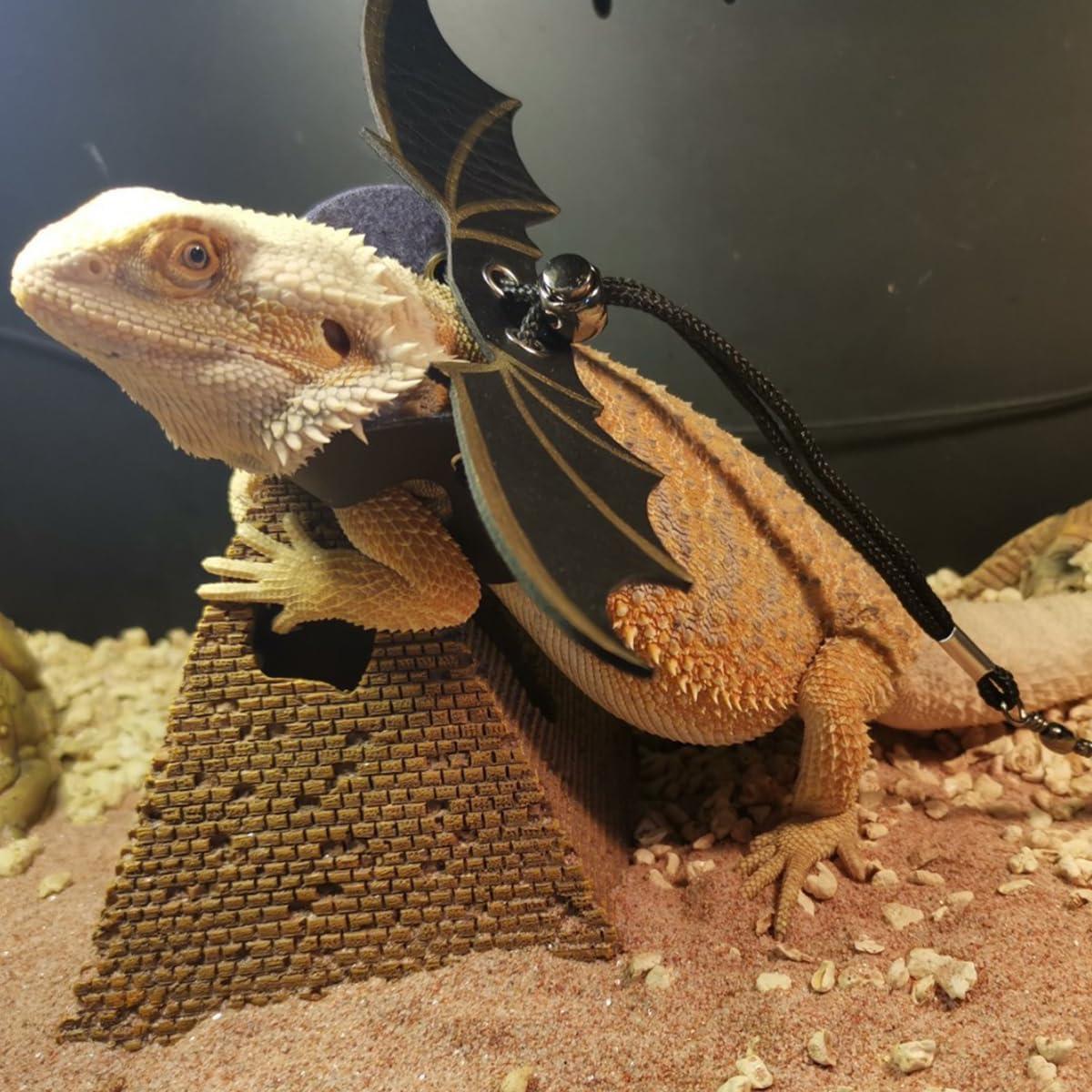 Transportador de Mochila para Dragón Barbudo uoopet Negro