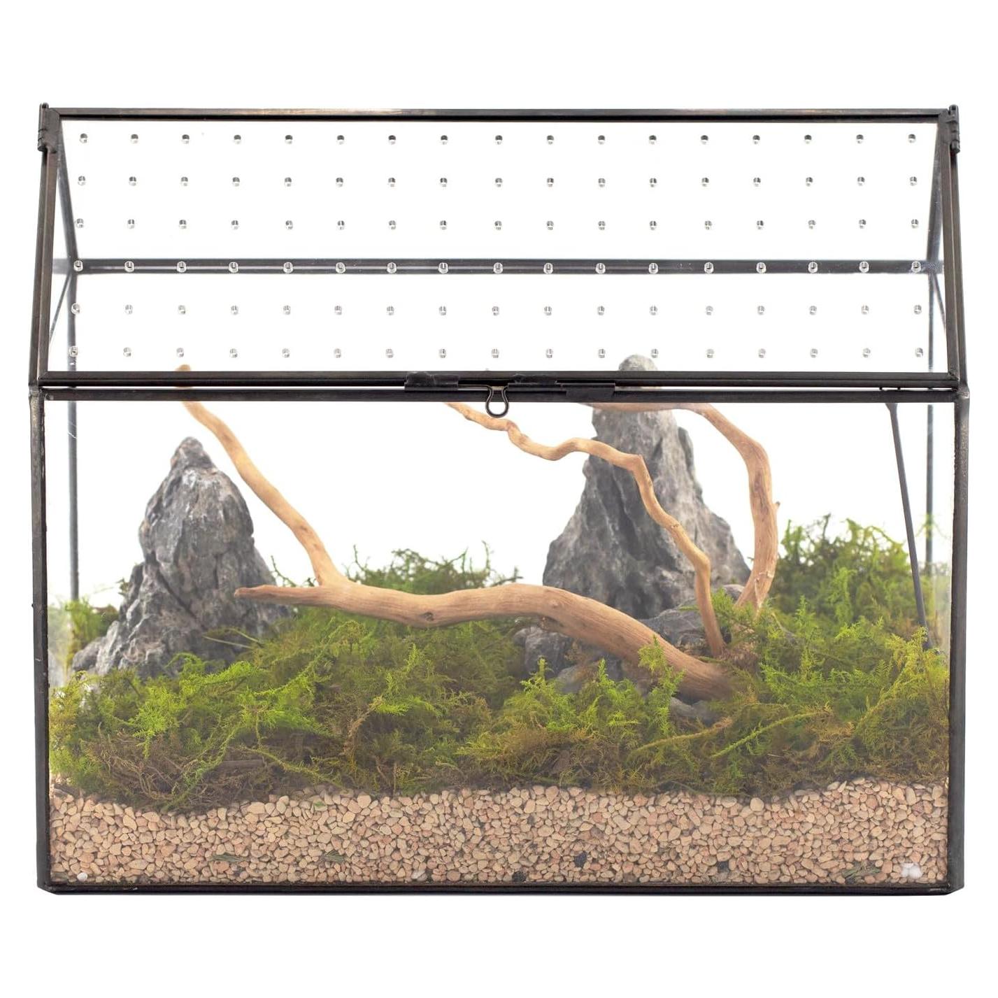 Terrario de vidrio NCYP en forma de casa 25.9x15.0x20.8 cm