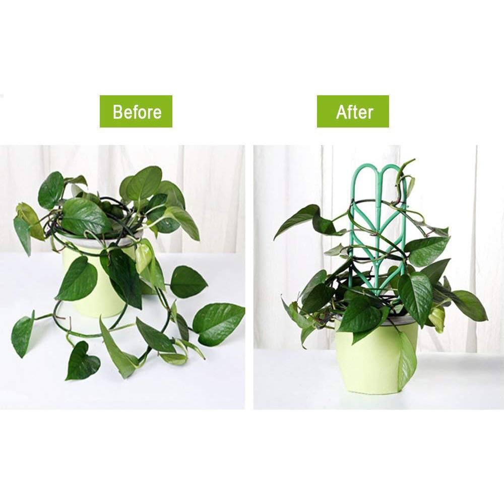 Trellis de Jardín Jashem 6 PCS Soporte para Plantas Trepadoras