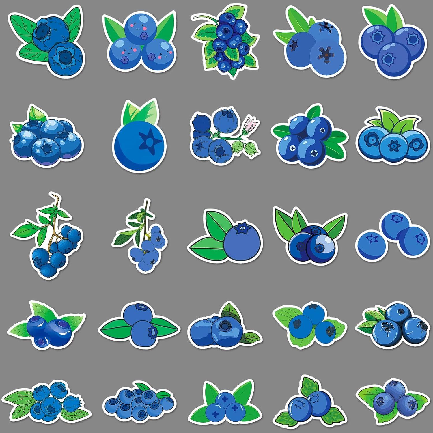 50 Calcomanías de Arándano Vinilo Impermeable LYLSDSB